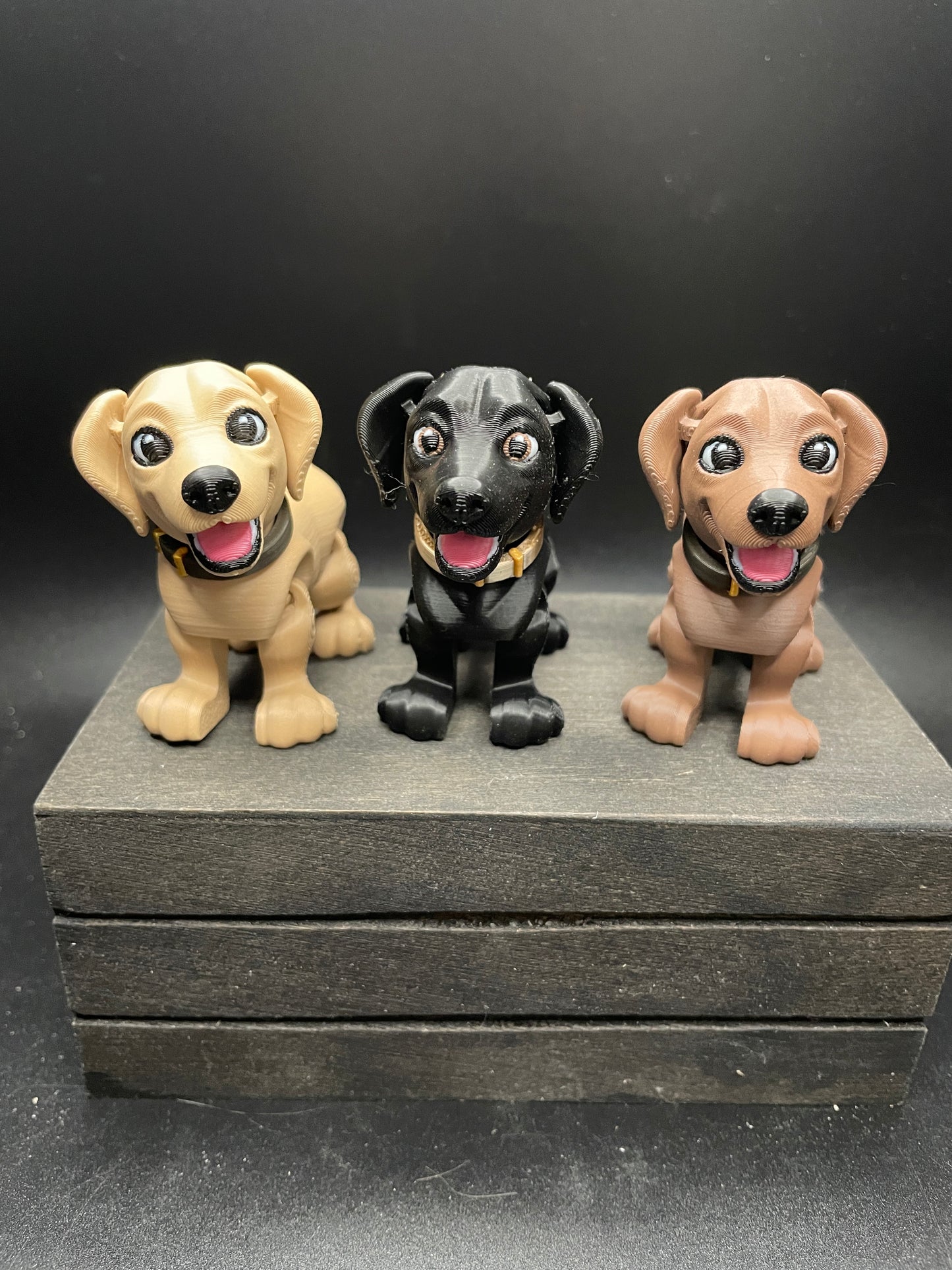 Labrador : Small