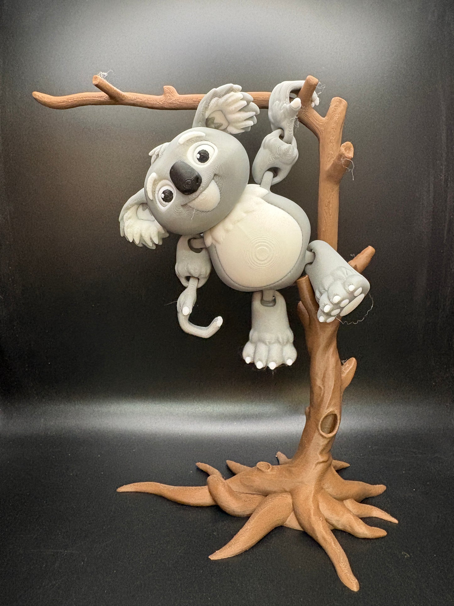 Koala -Hanging