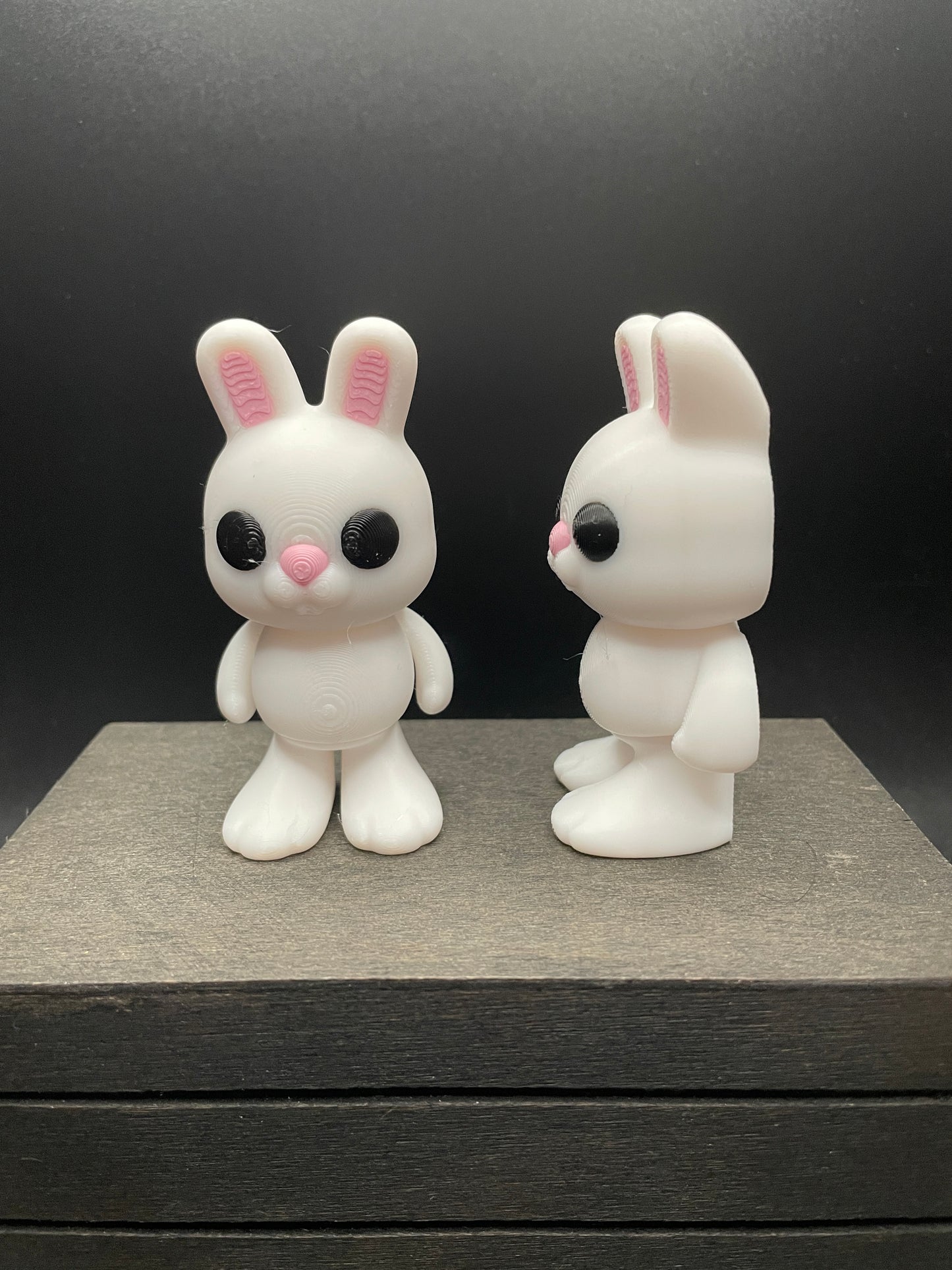 Bunny : Standing