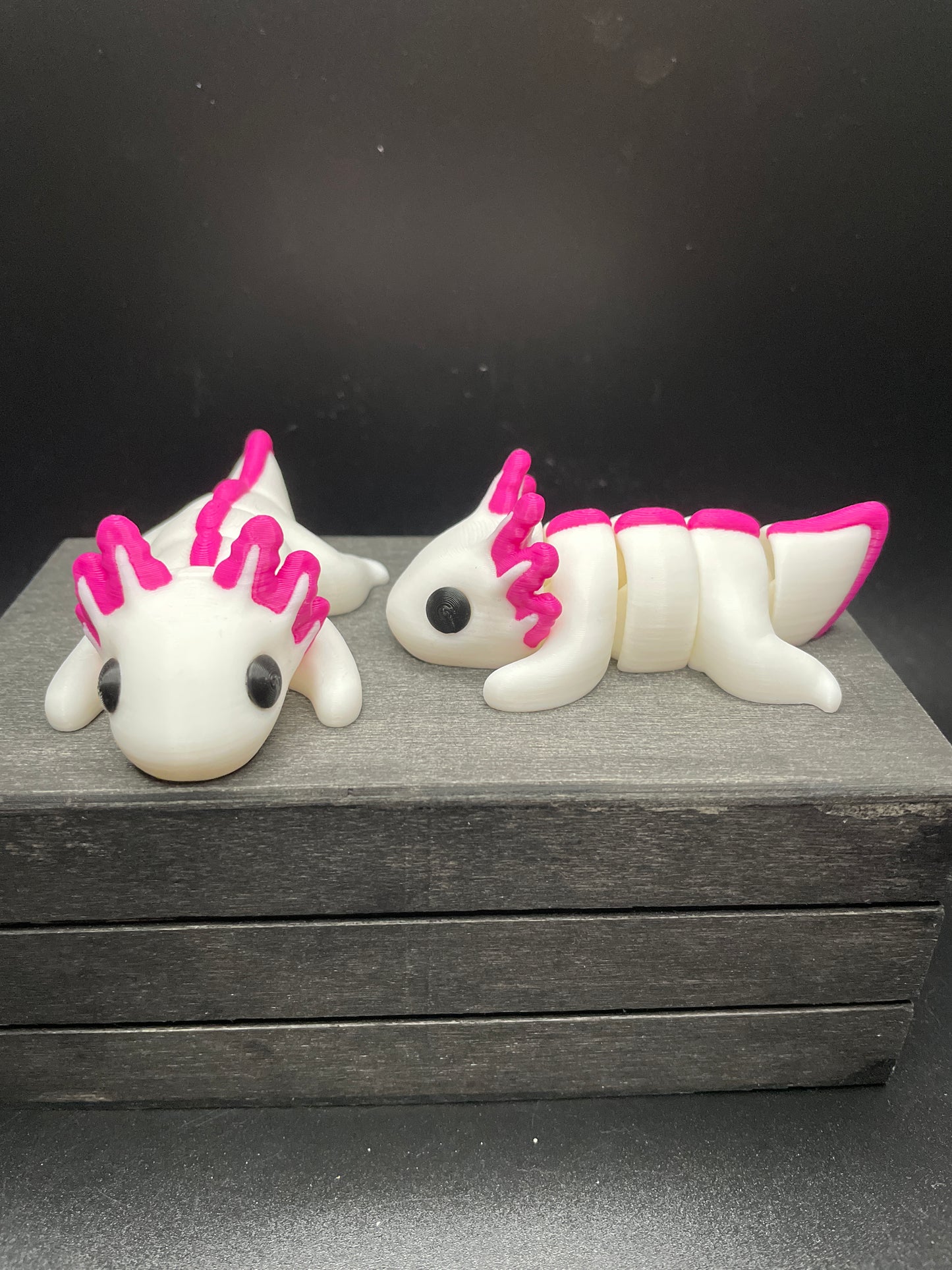 Axolotl
