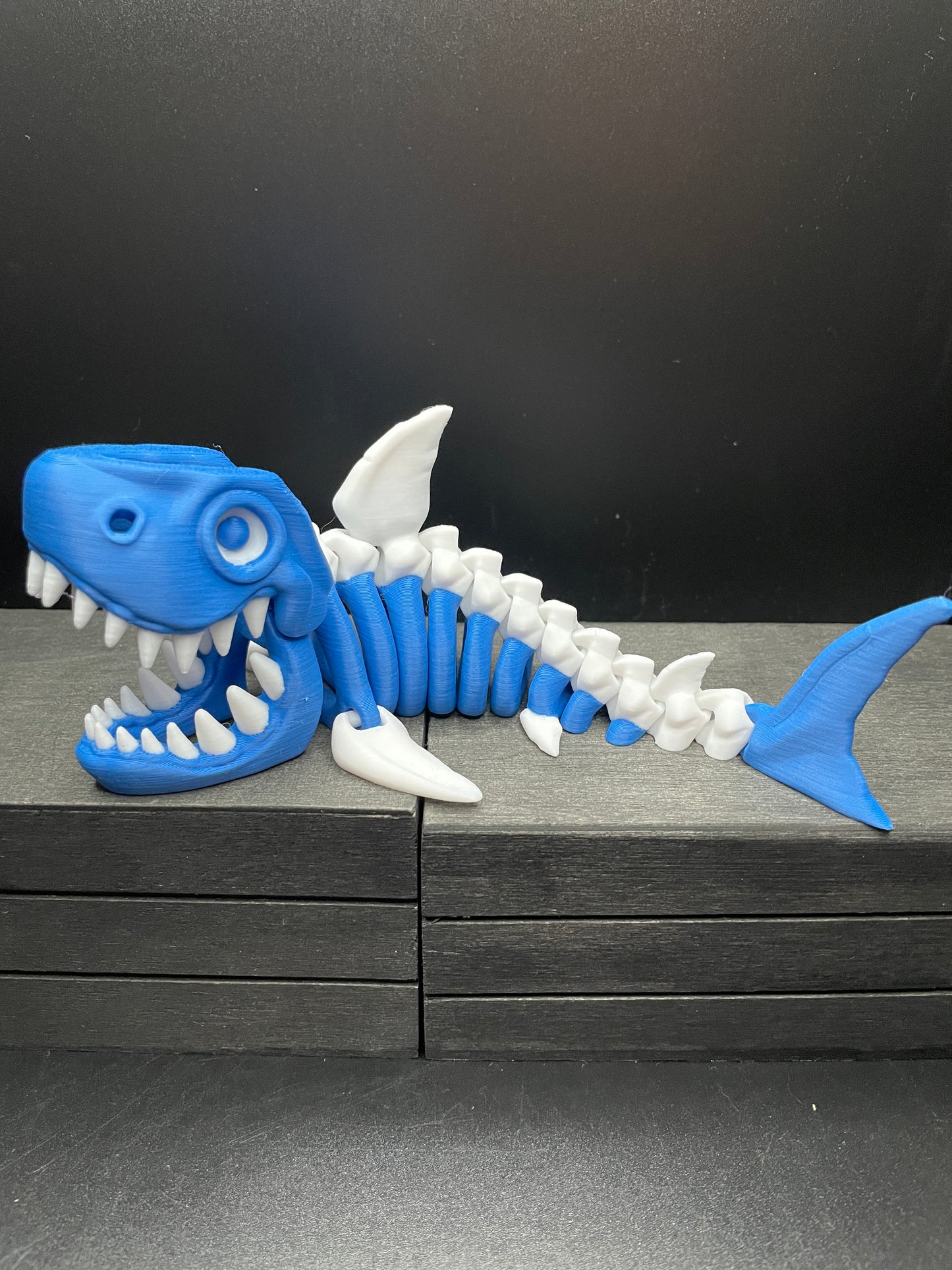 Skeleton Shark