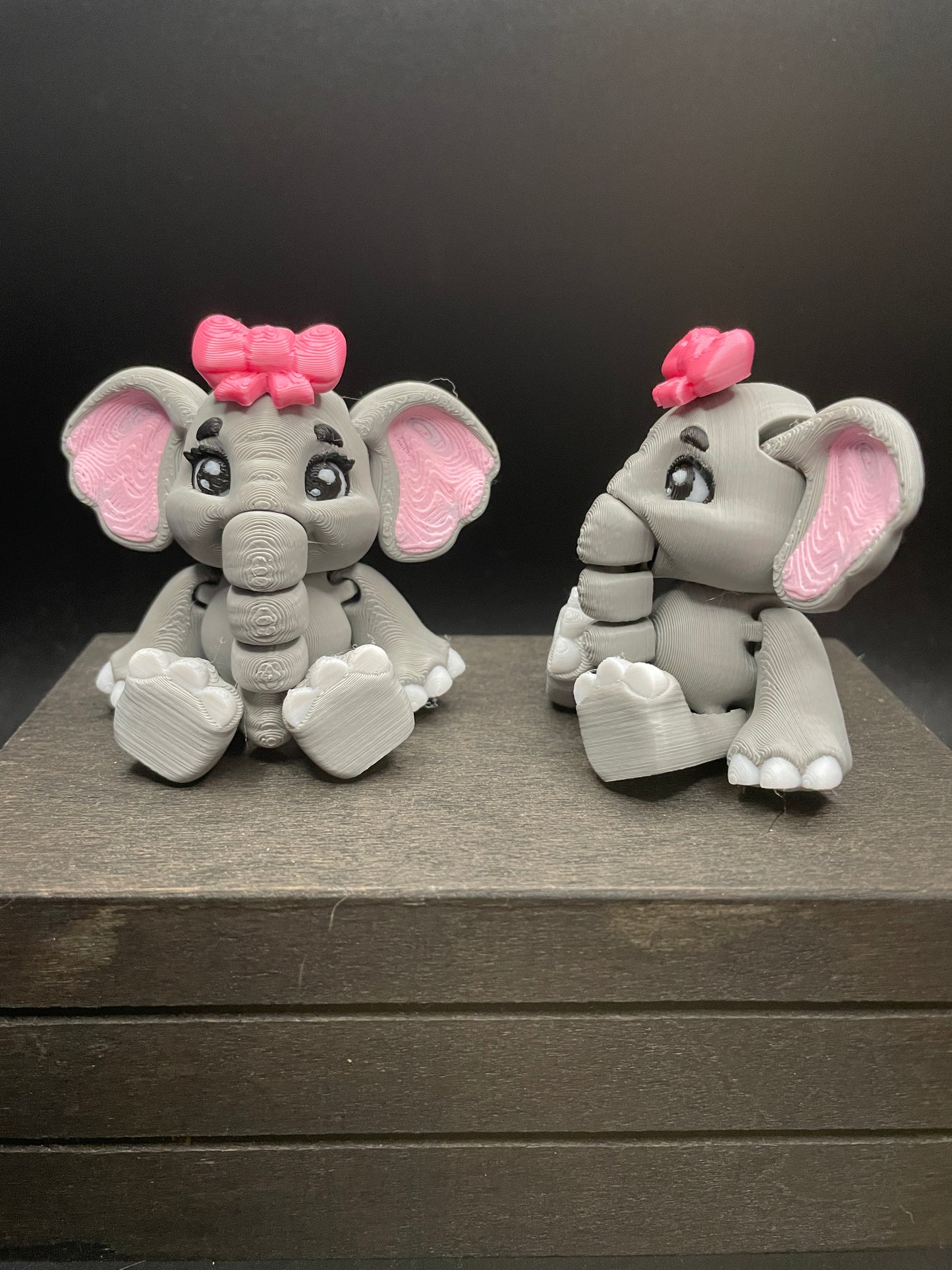 Elephant : Sitting