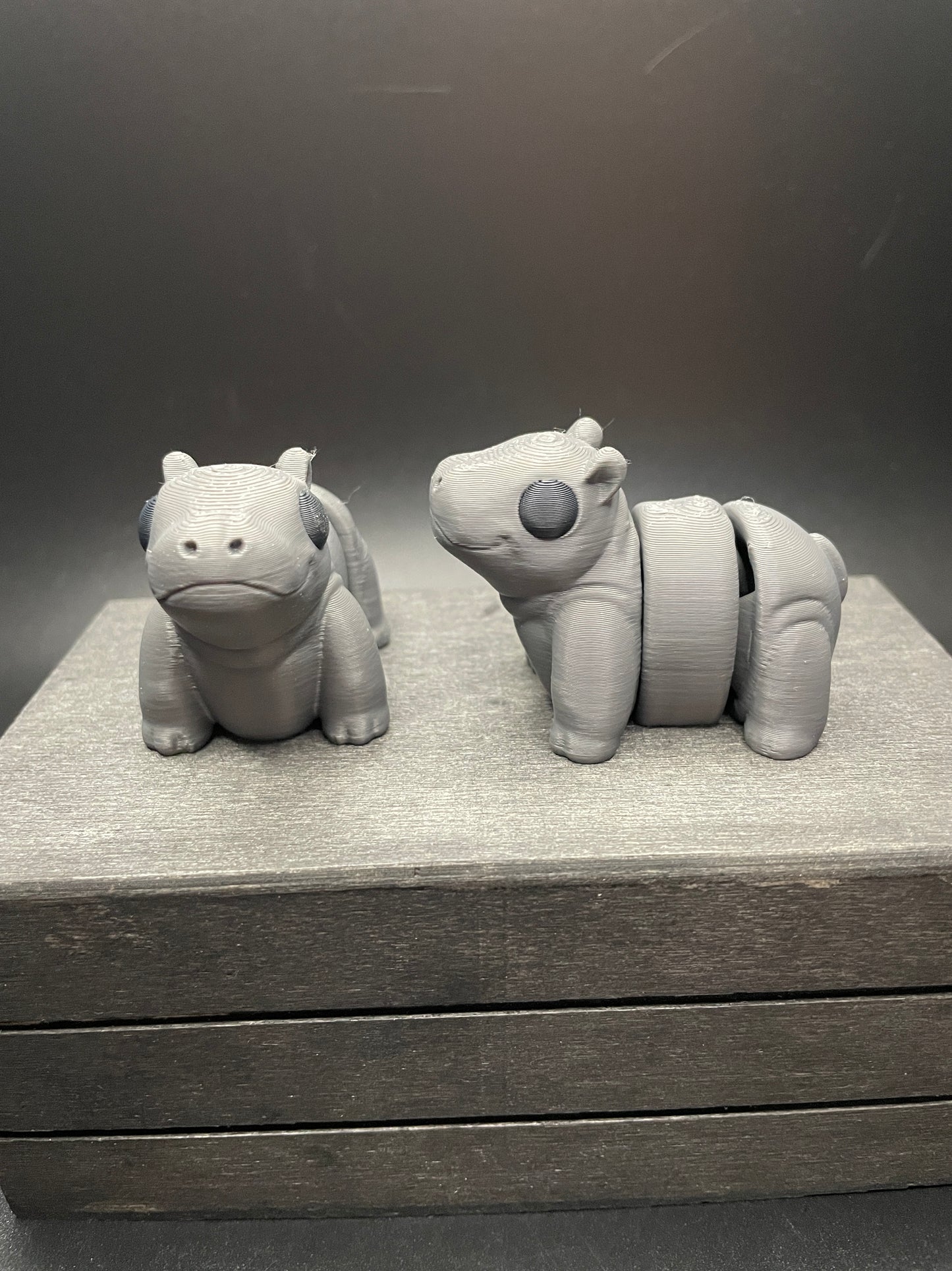 Hippo
