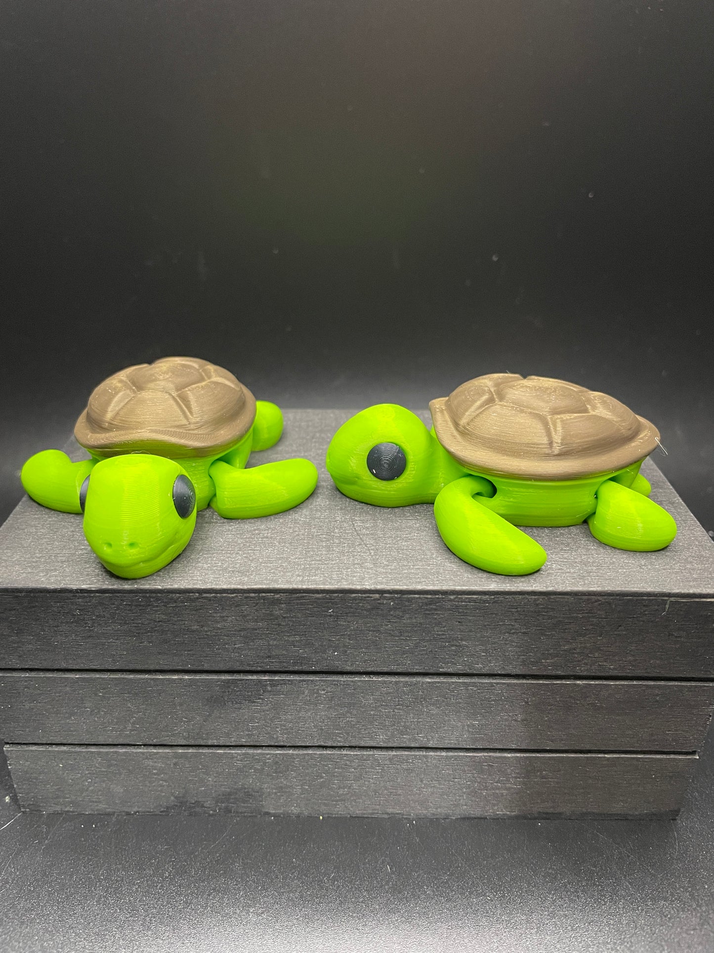 Turtle