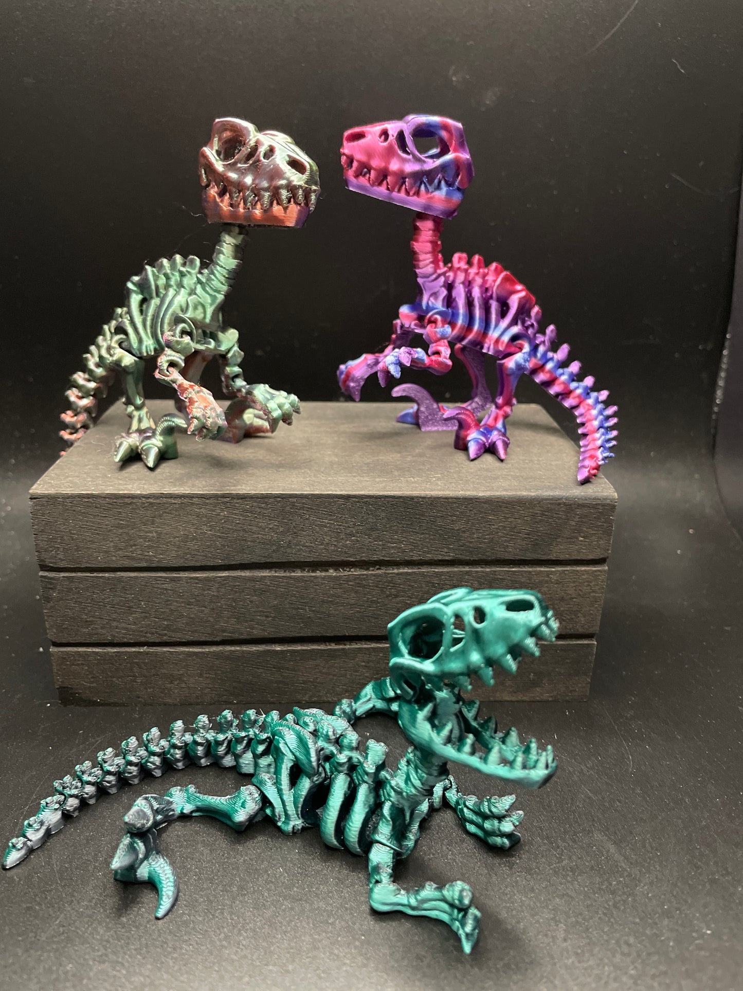 Skeleton Raptor : Small