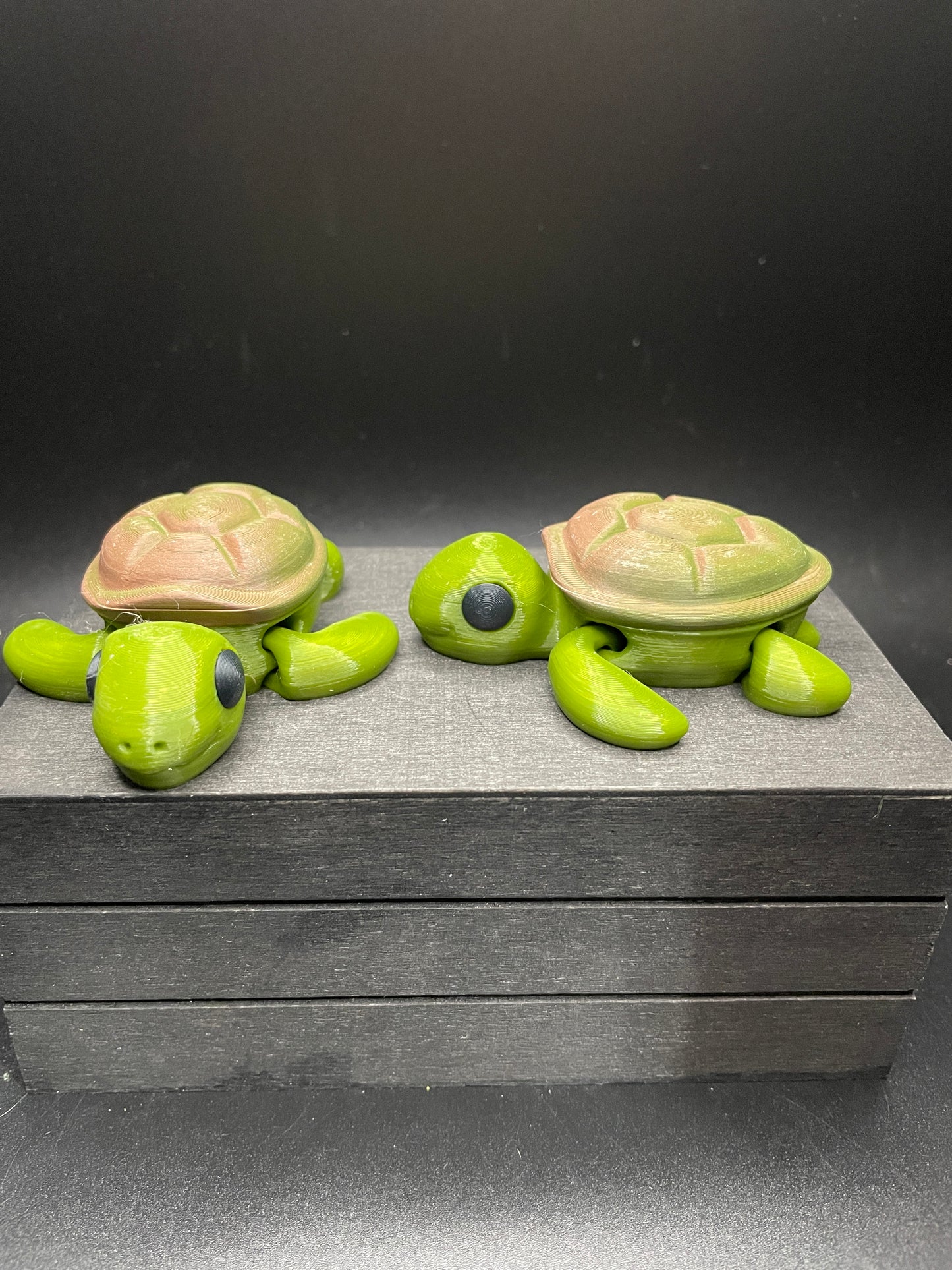 Turtle