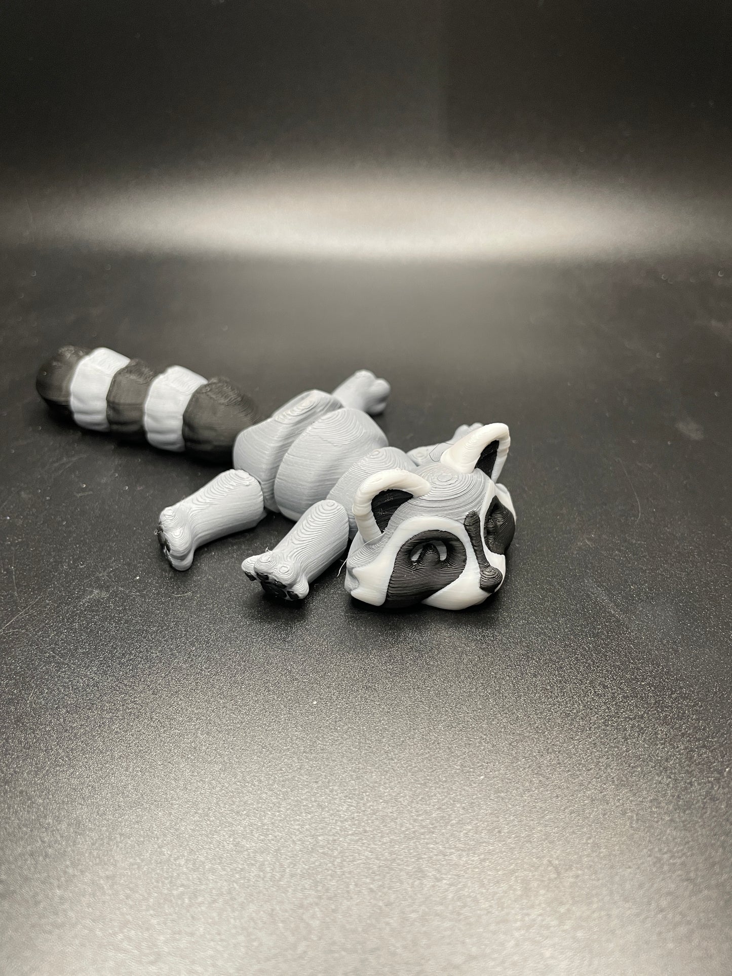 Raccoon