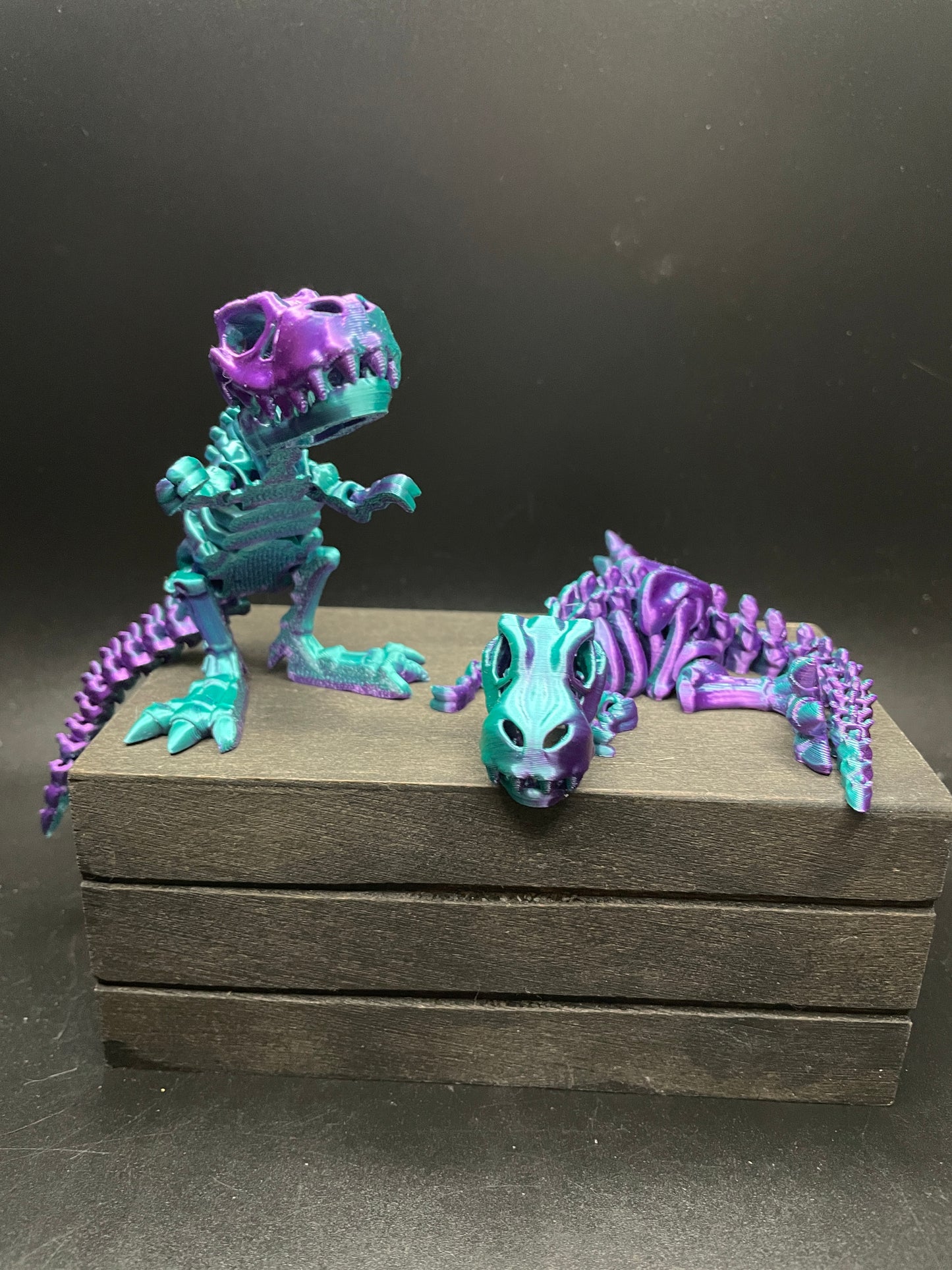 Skeleton T-Rex : Small