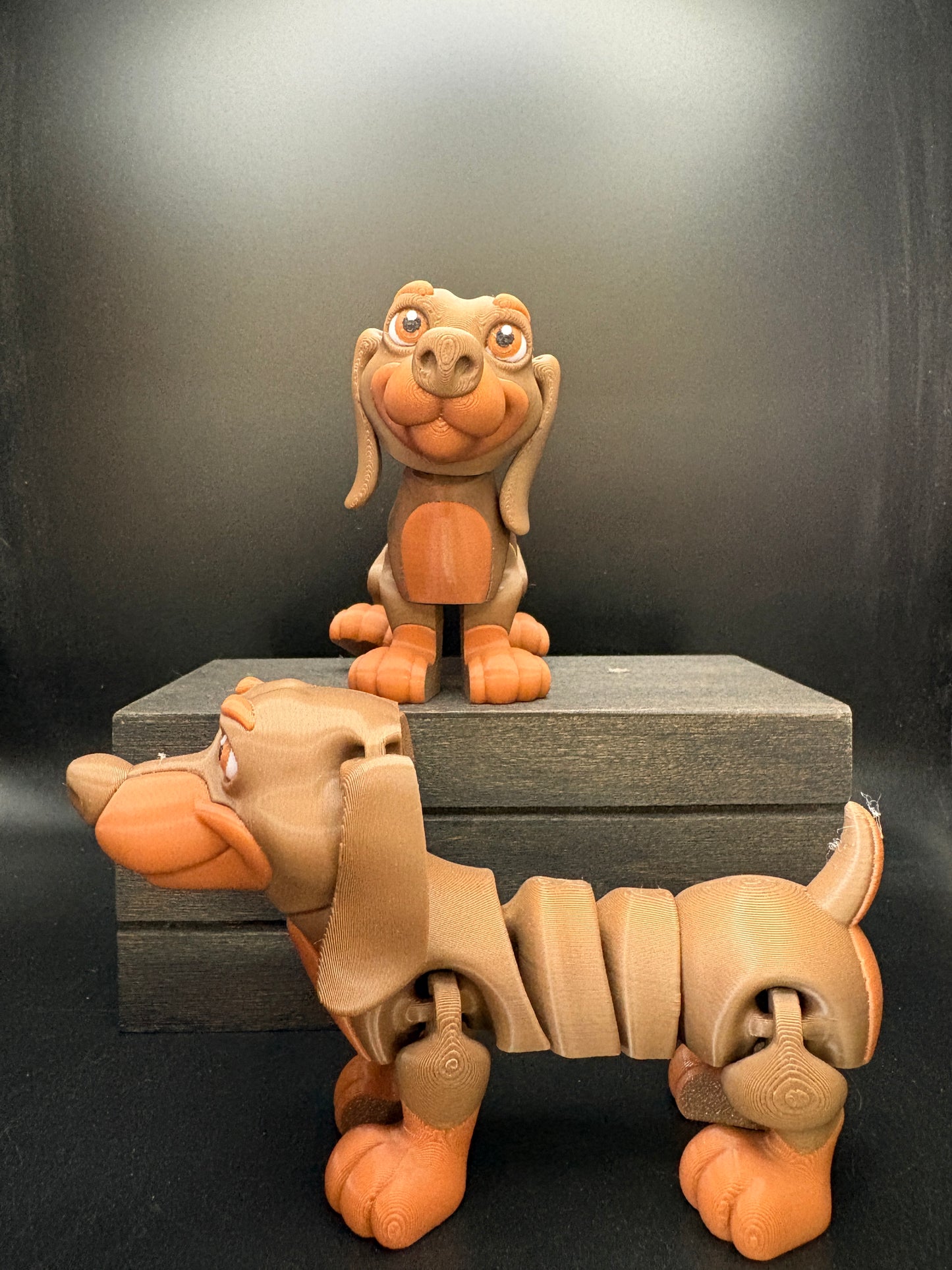 Dachshund