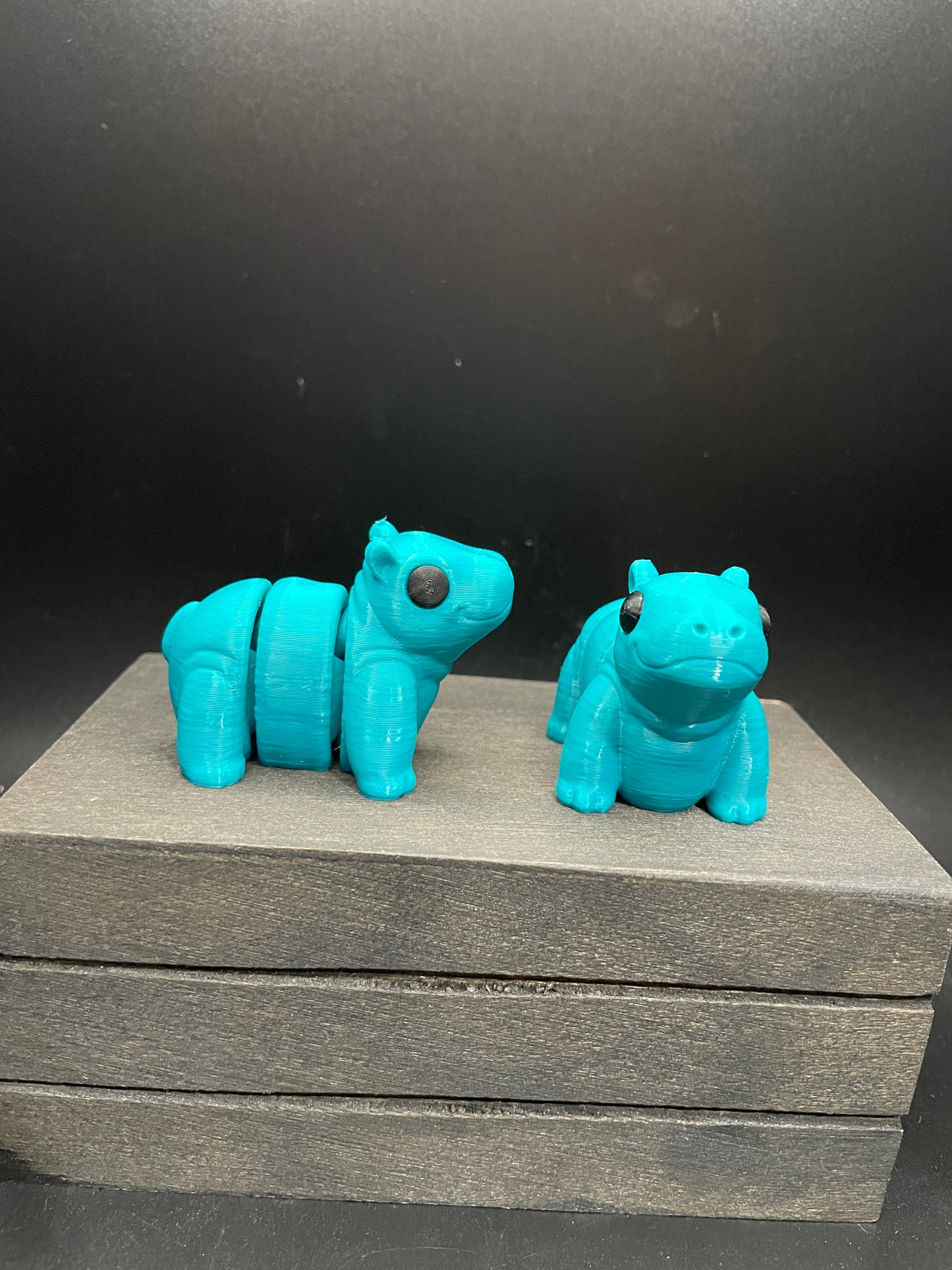 Hippo
