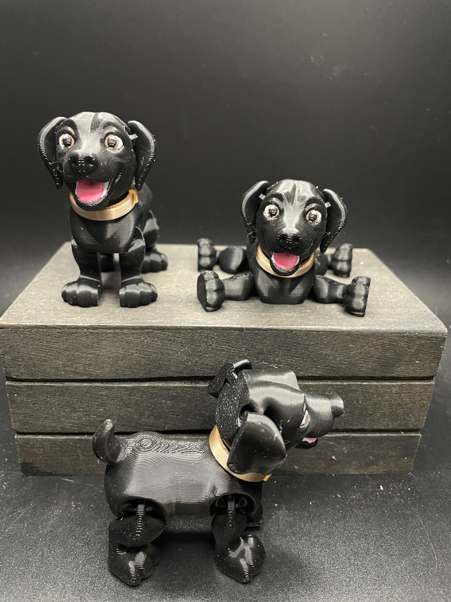 Labrador : Small