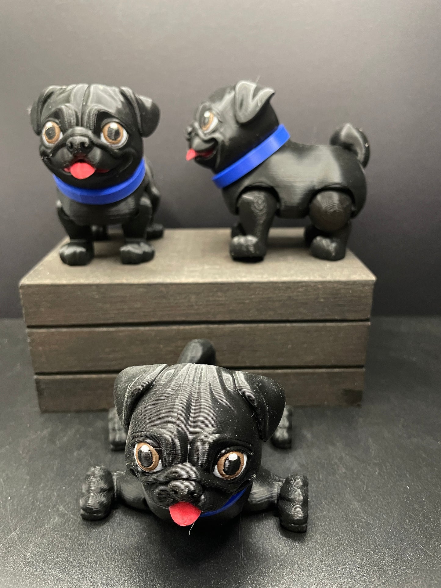 Pug