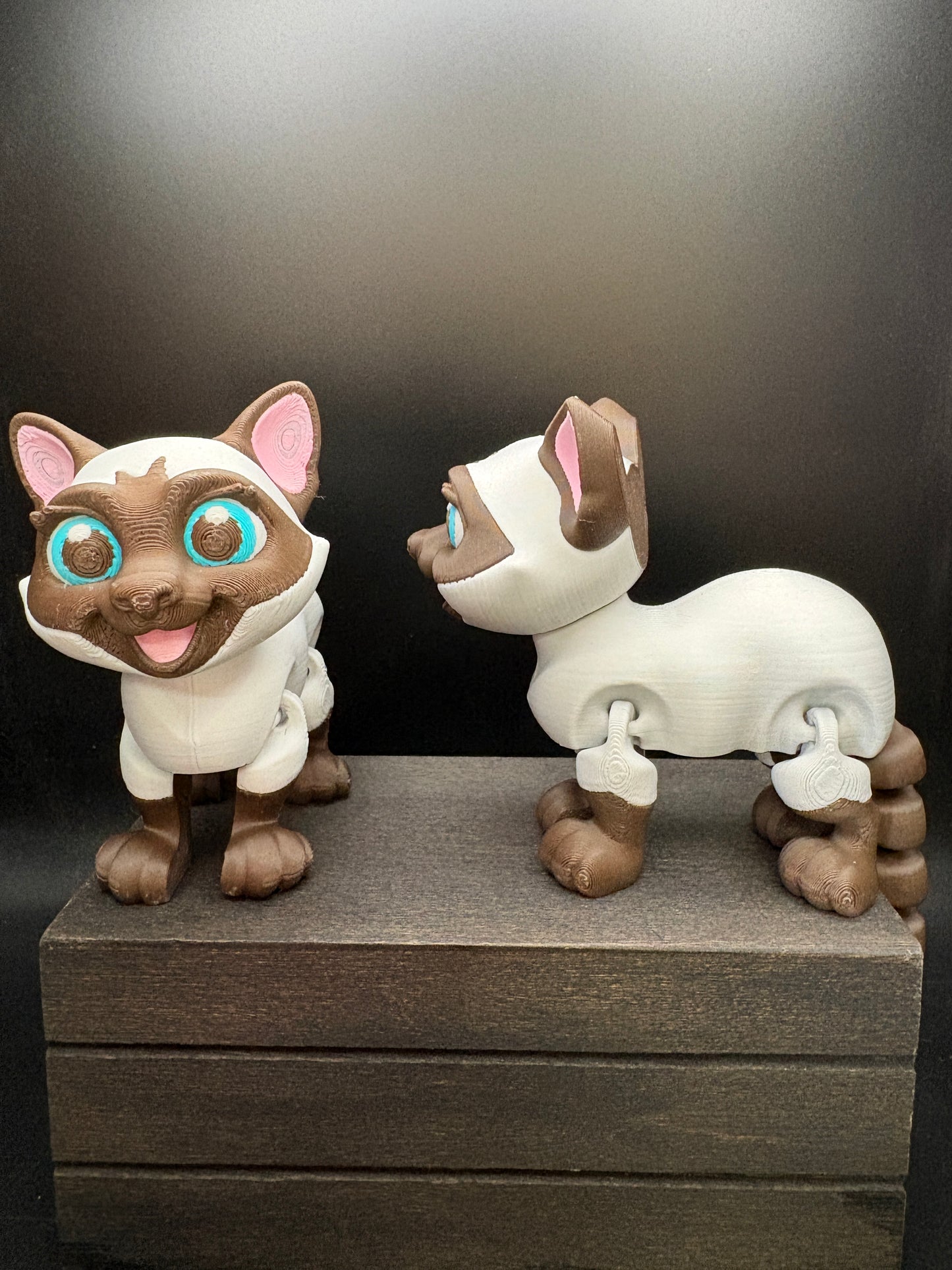 Siamese Cat
