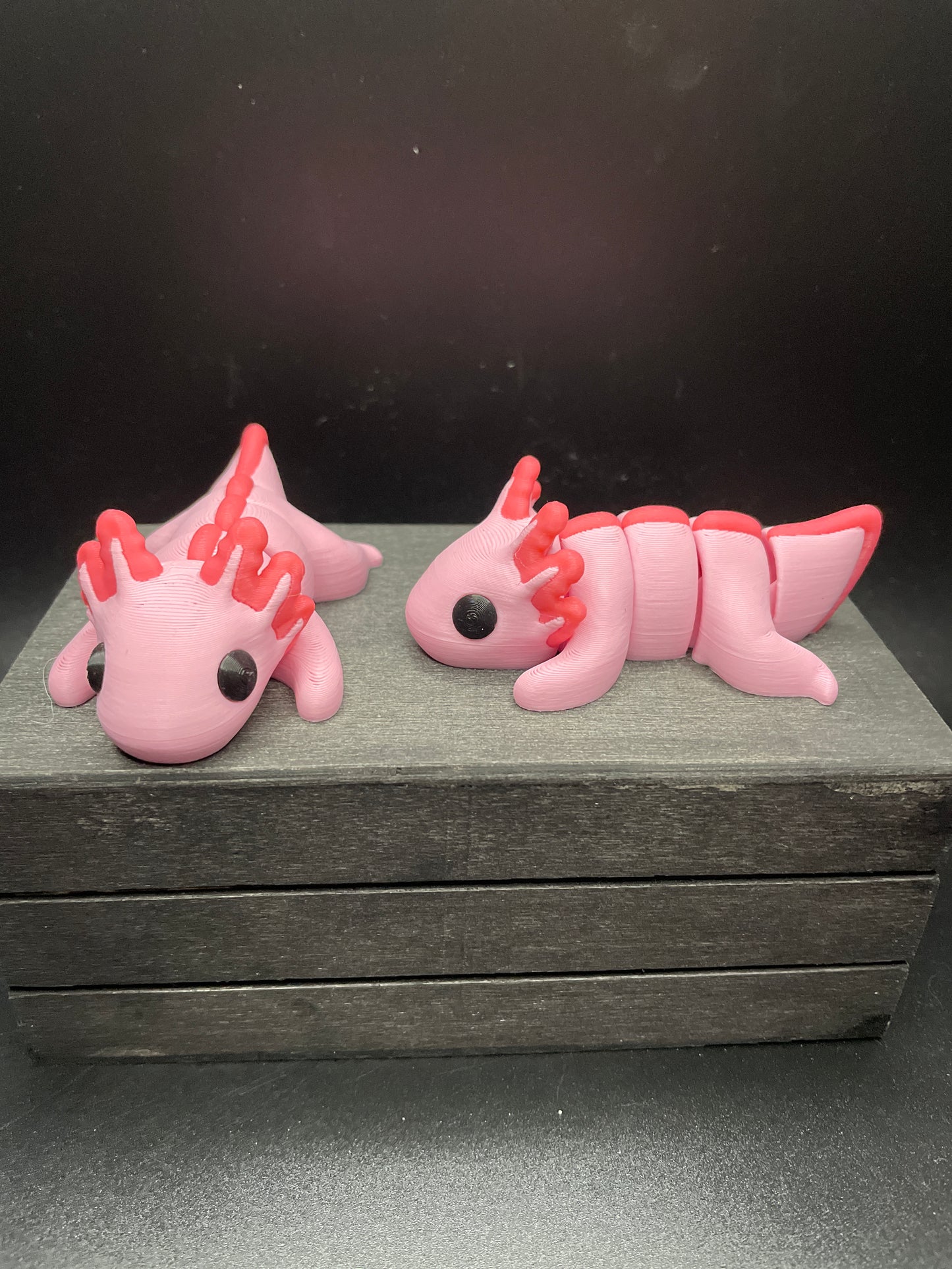 Axolotl