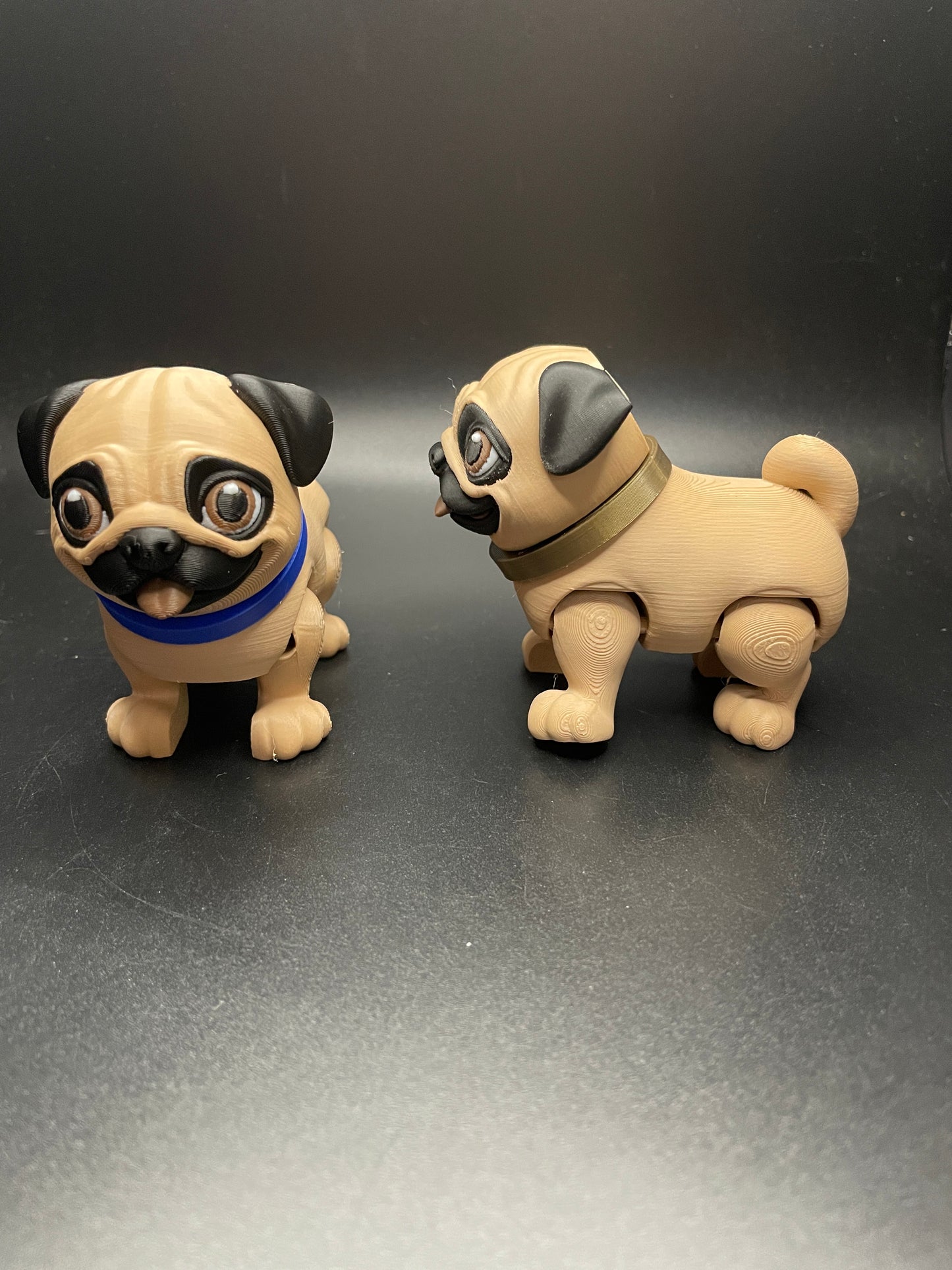 Pug