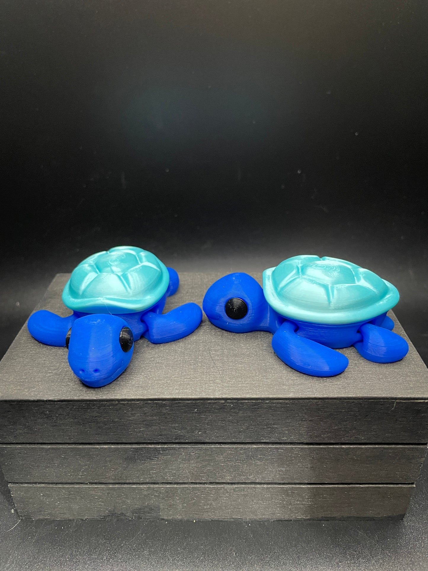 Turtle