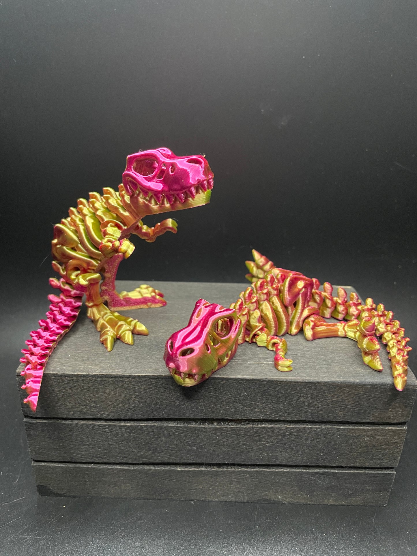Skeleton T-Rex : Small