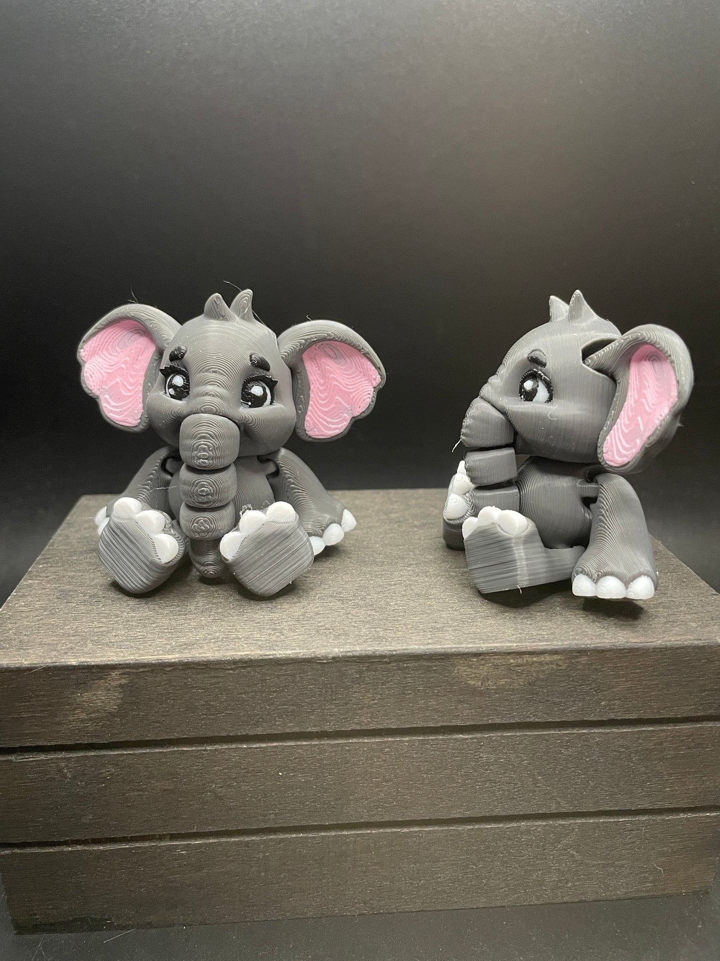 Elephant : Sitting