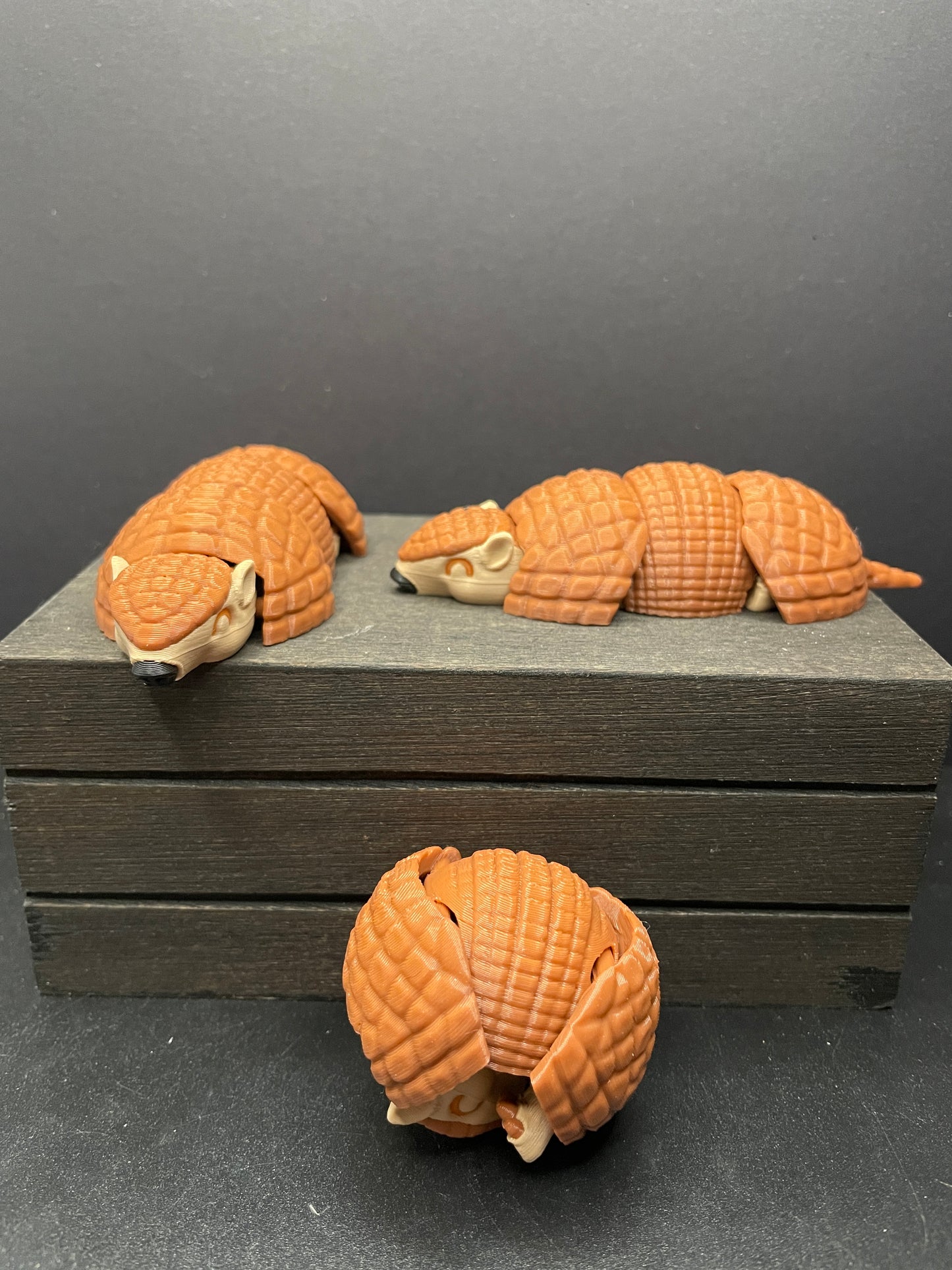 Armadillo