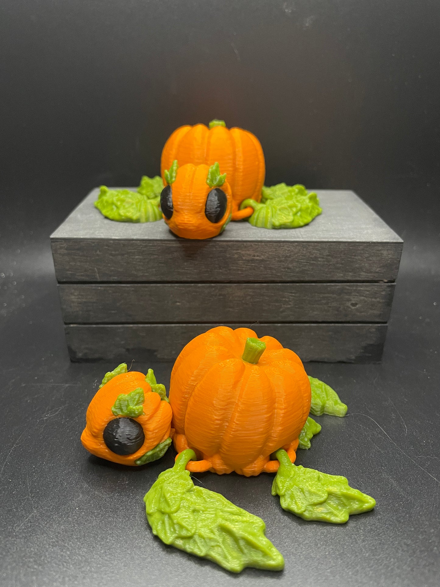 Pumpkin Turtle
