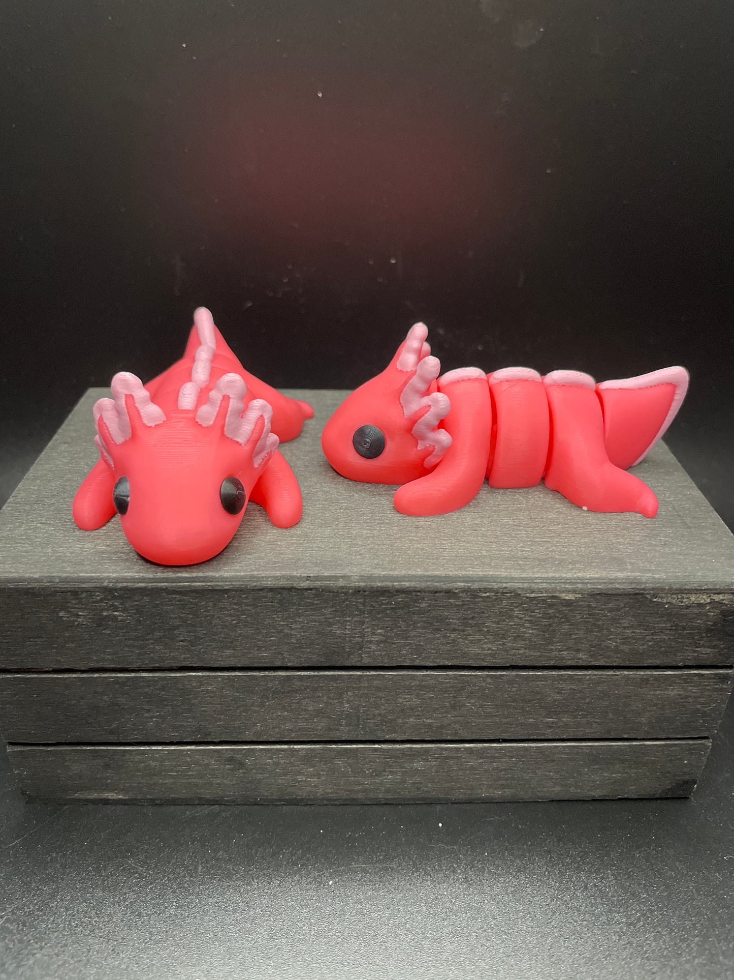 Axolotl