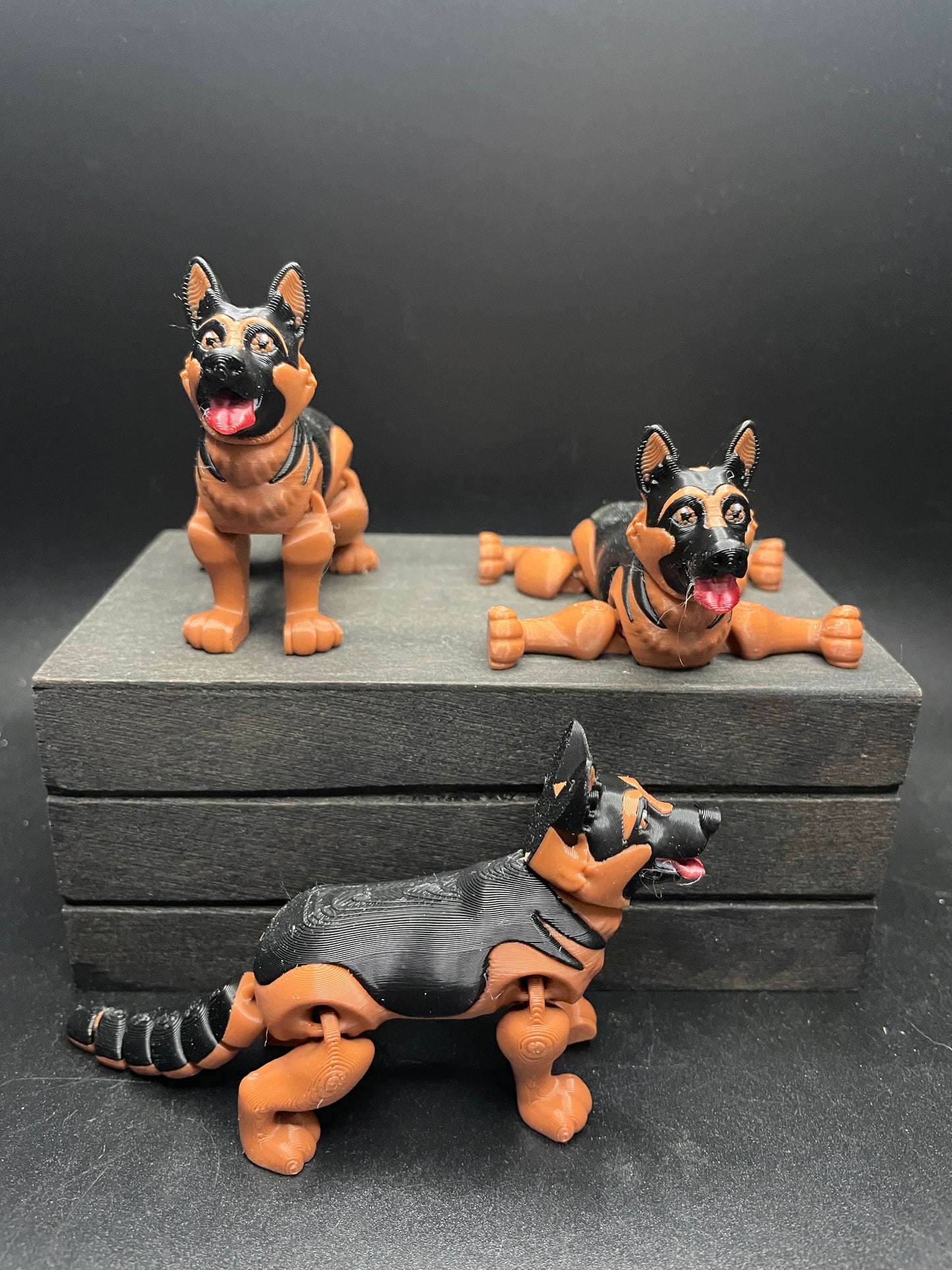 German Shepard : Small