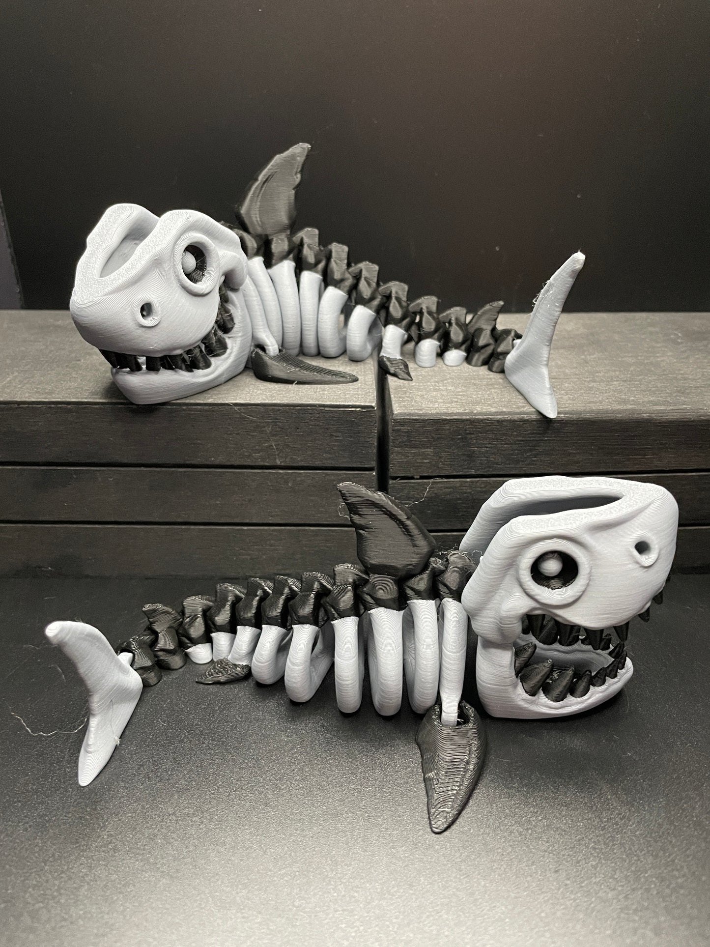 Skeleton Shark