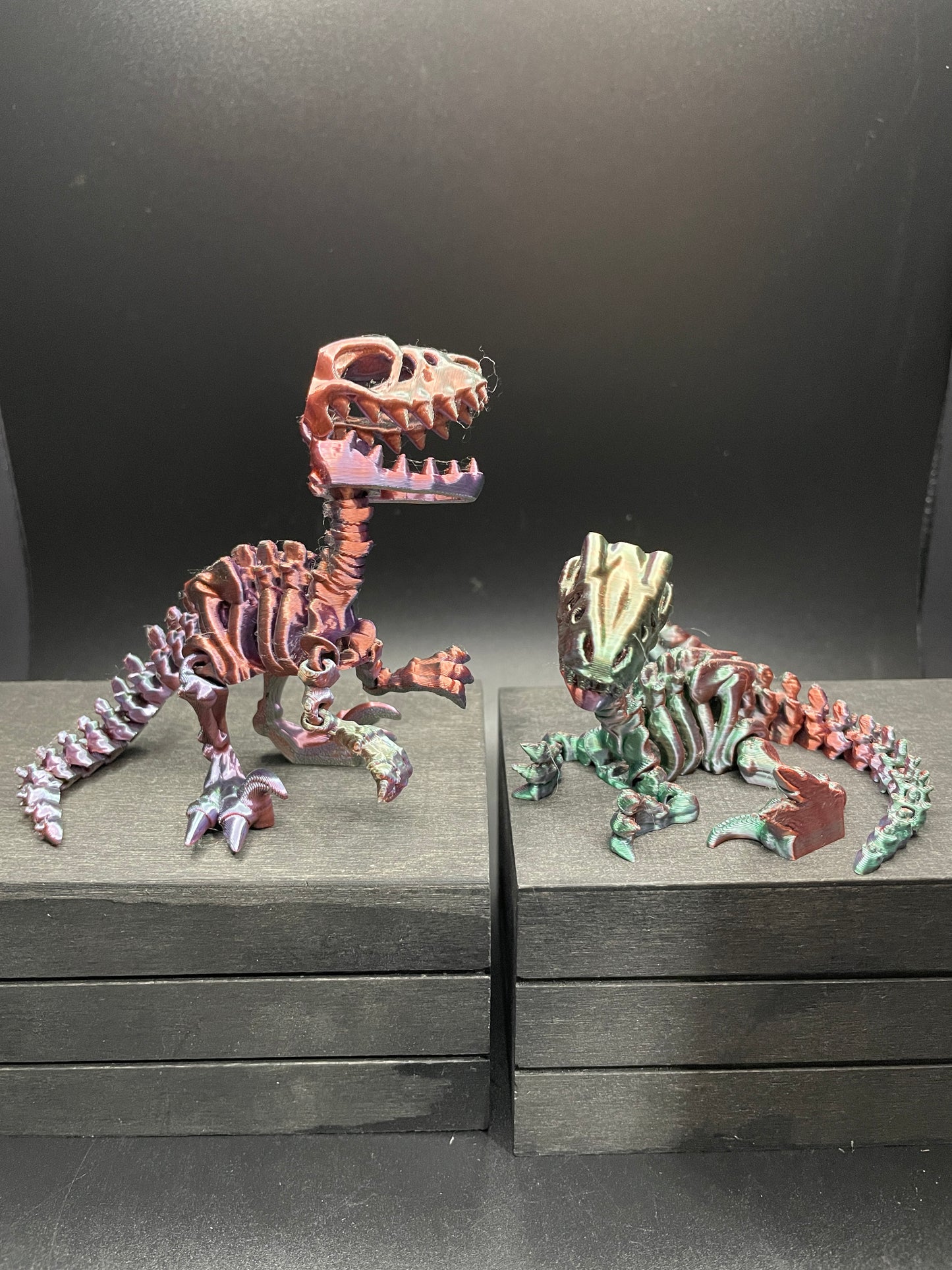 Skeleton Raptor : Small