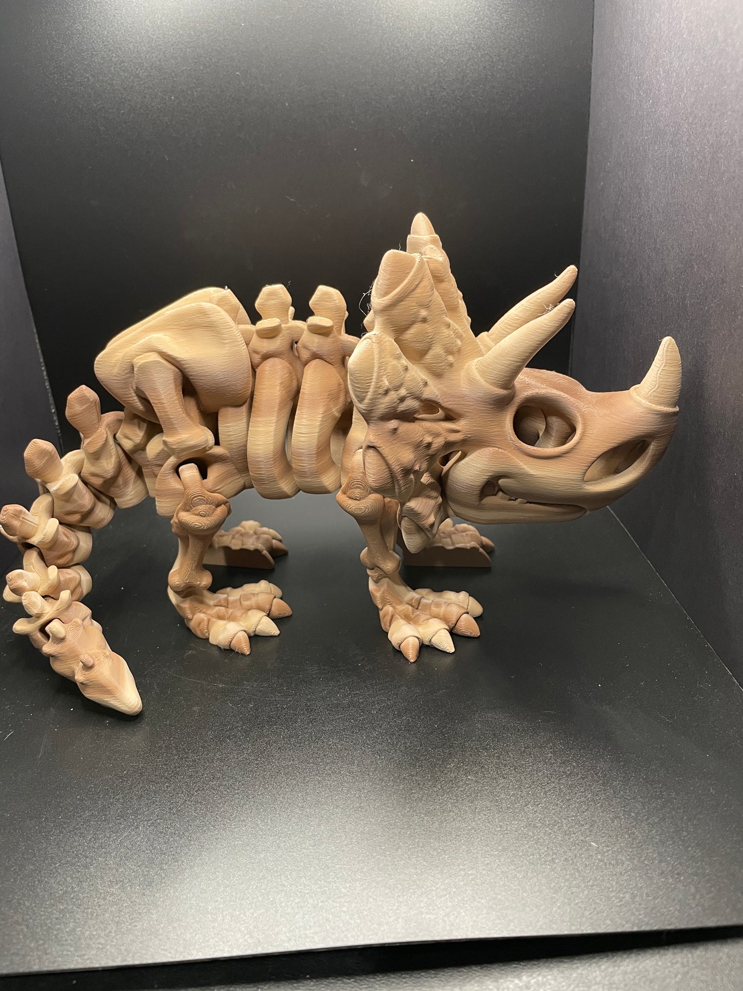 Skeleton Triceratops