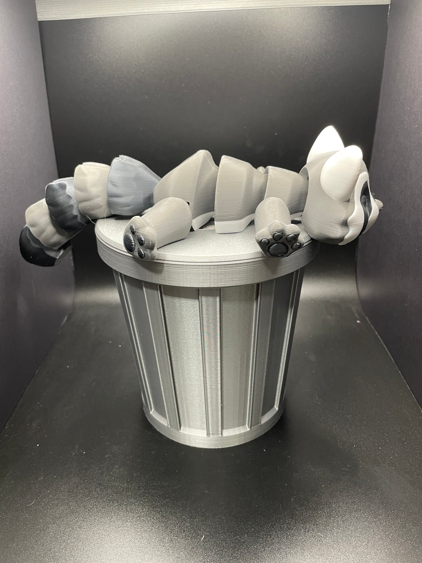 Raccoon with Trashcan