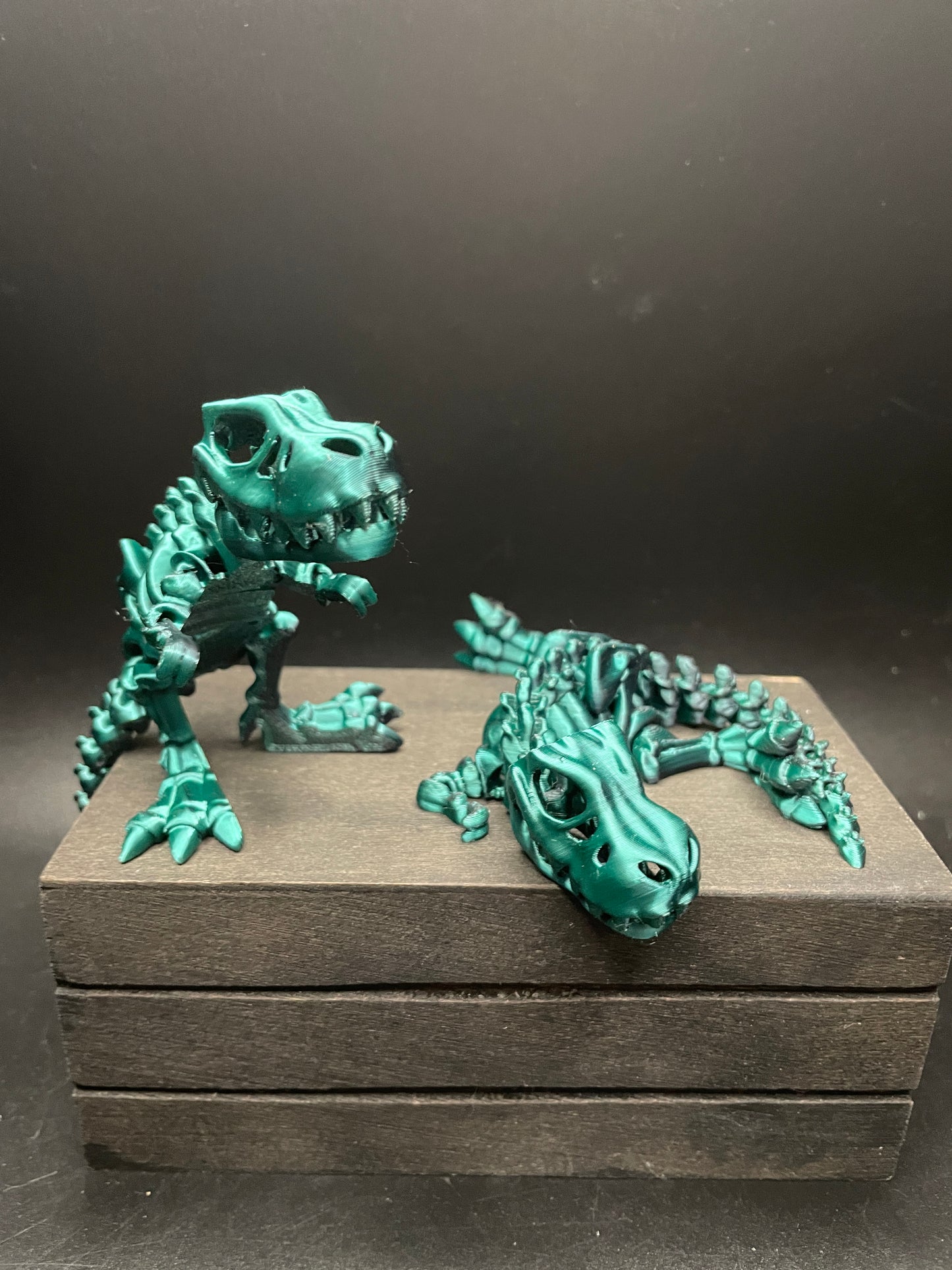 Skeleton T-Rex : Small