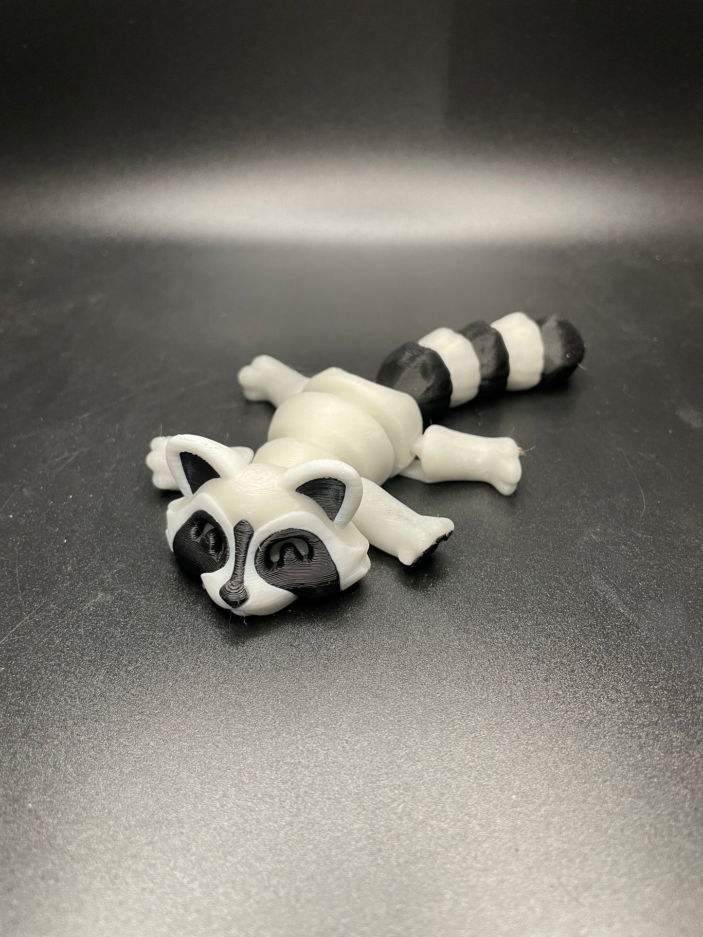 Raccoon