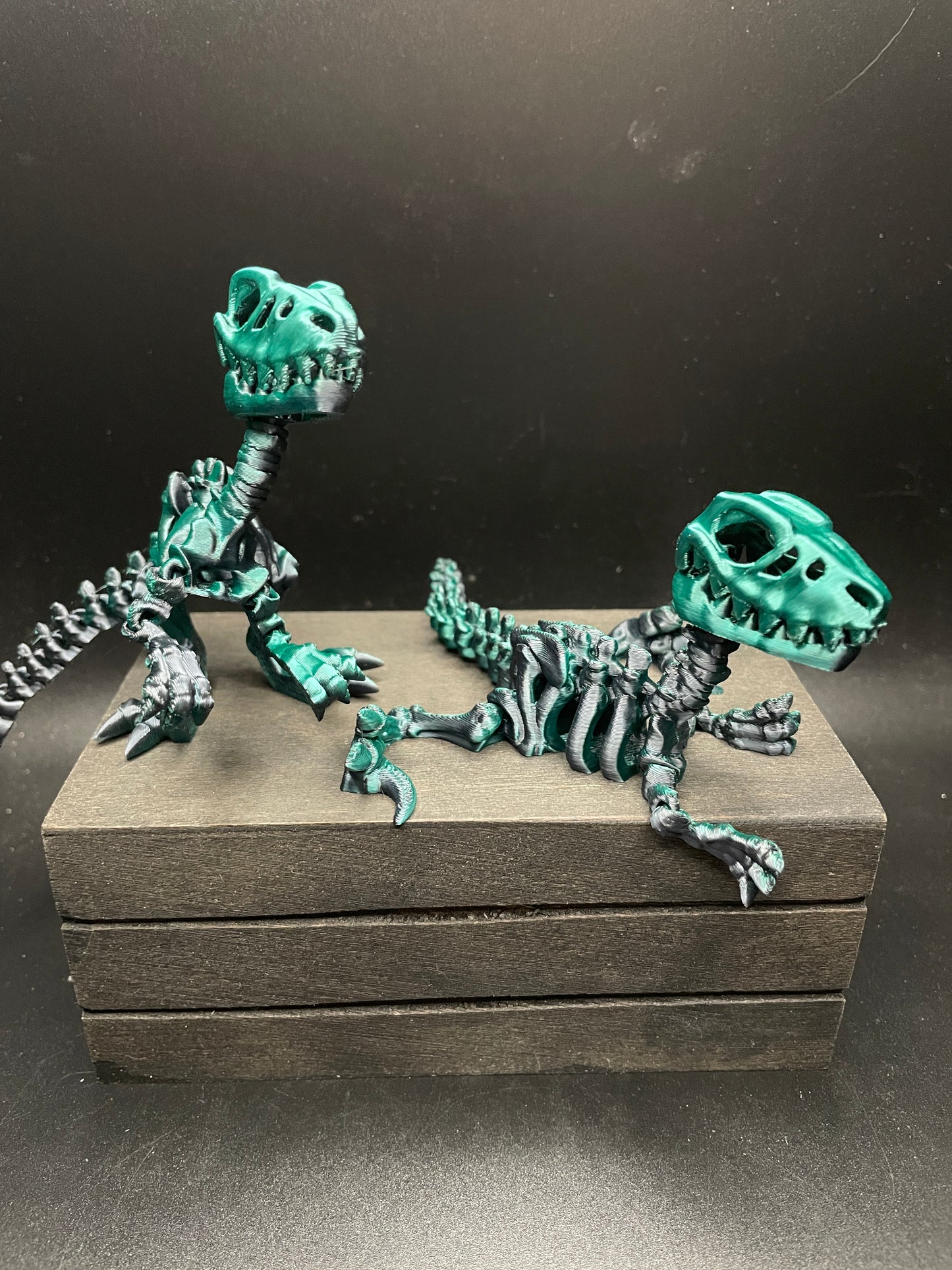 Skeleton Raptor : Small