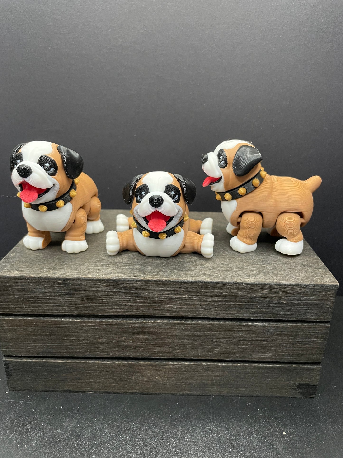 English Bulldog : Small