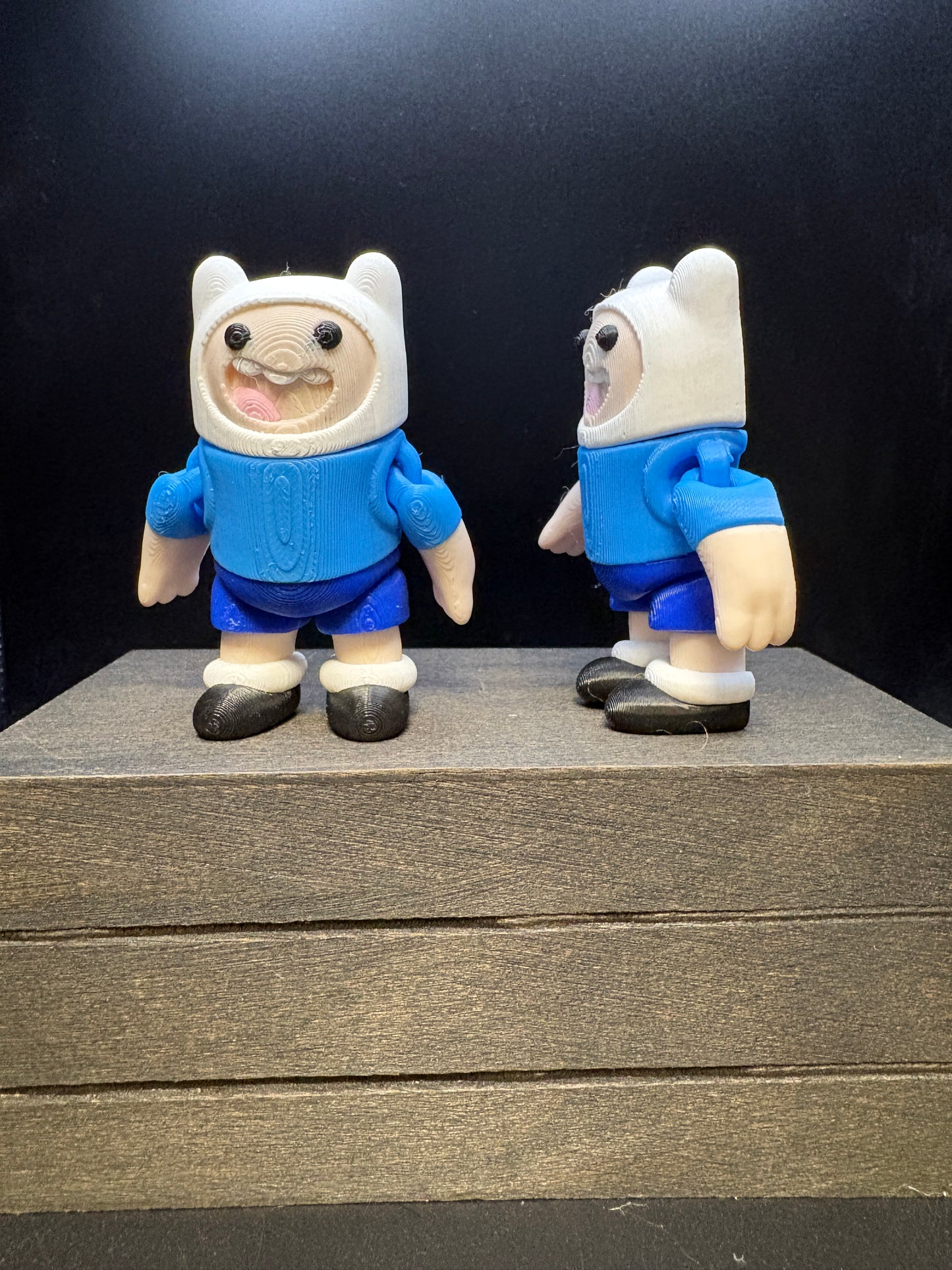 Finn The Human
