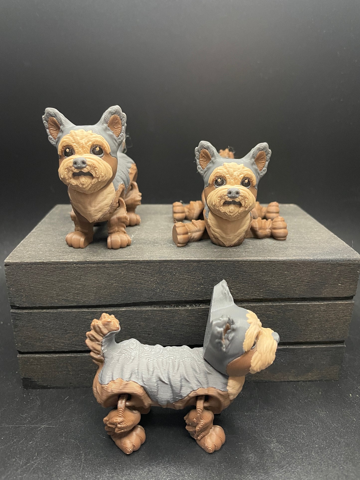 Yorkie