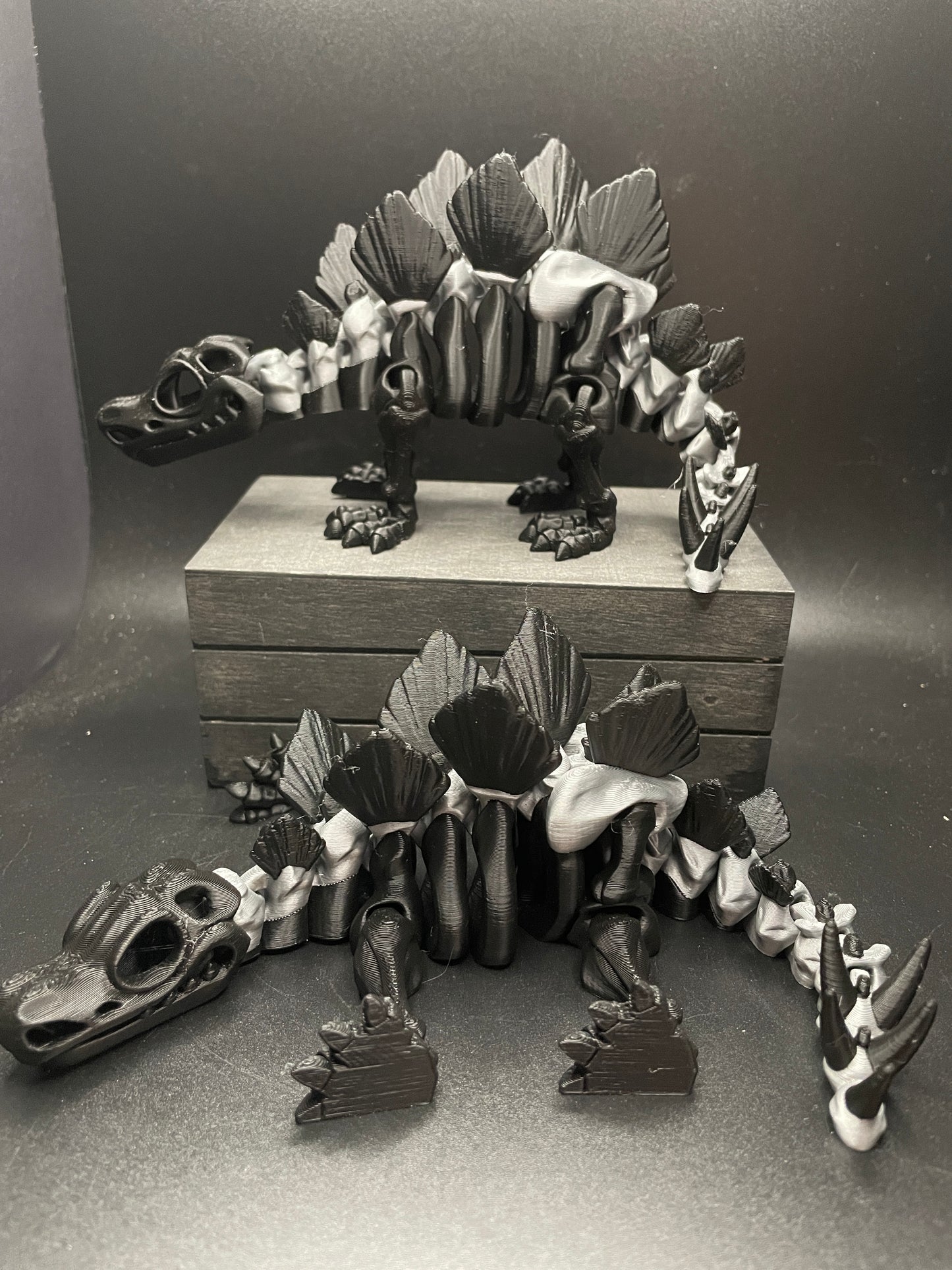 Skeleton Stegosaurus