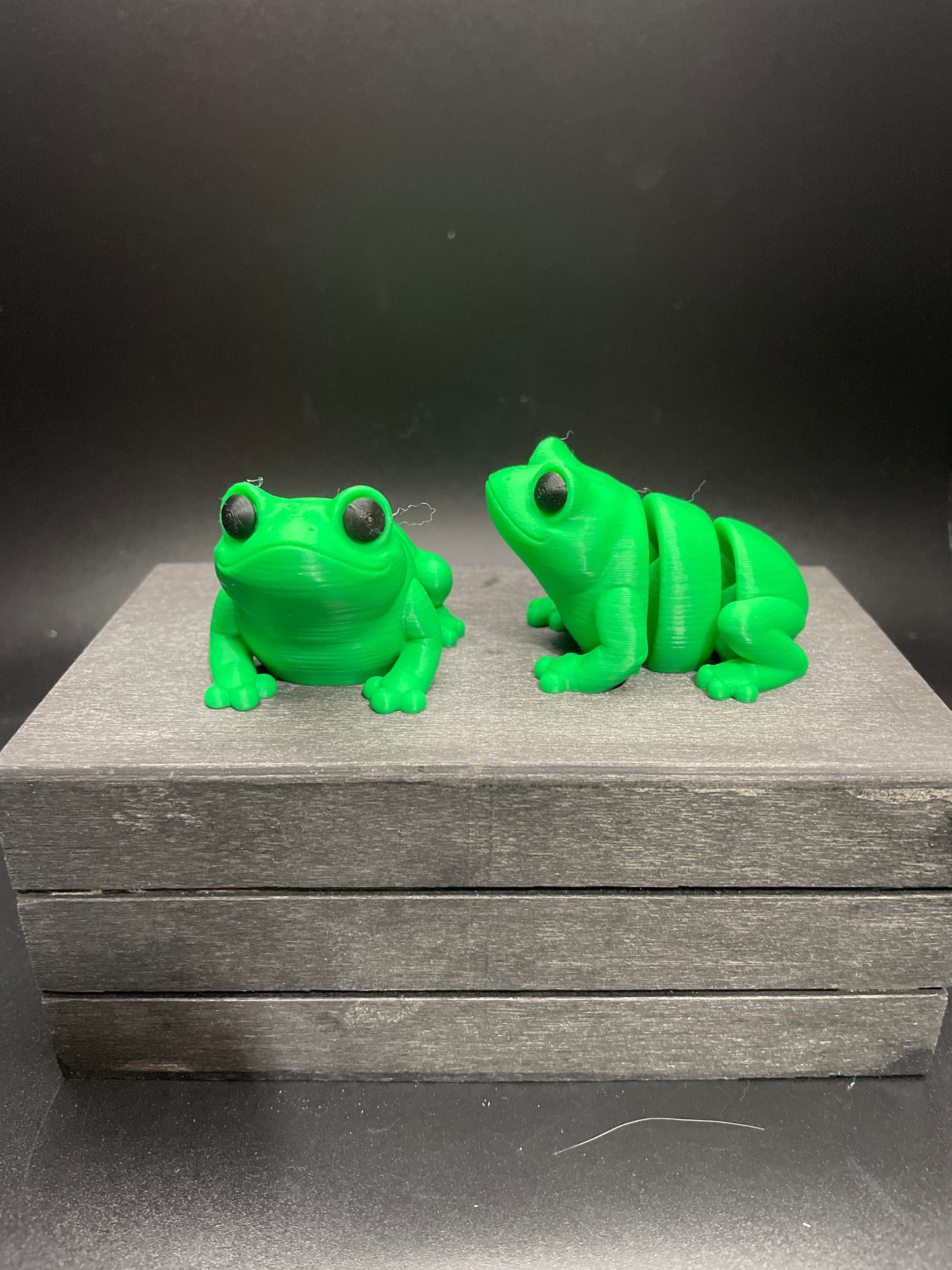 Frog