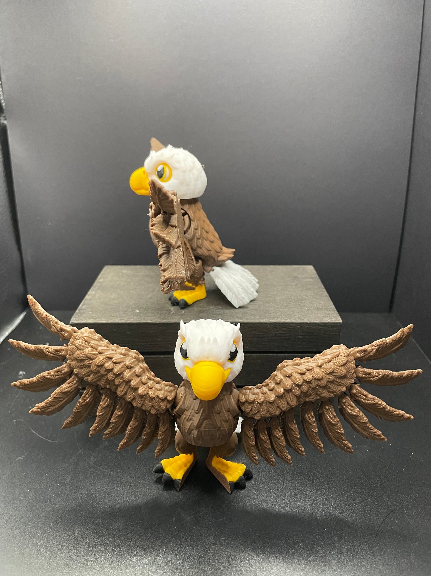 Bald Eagle