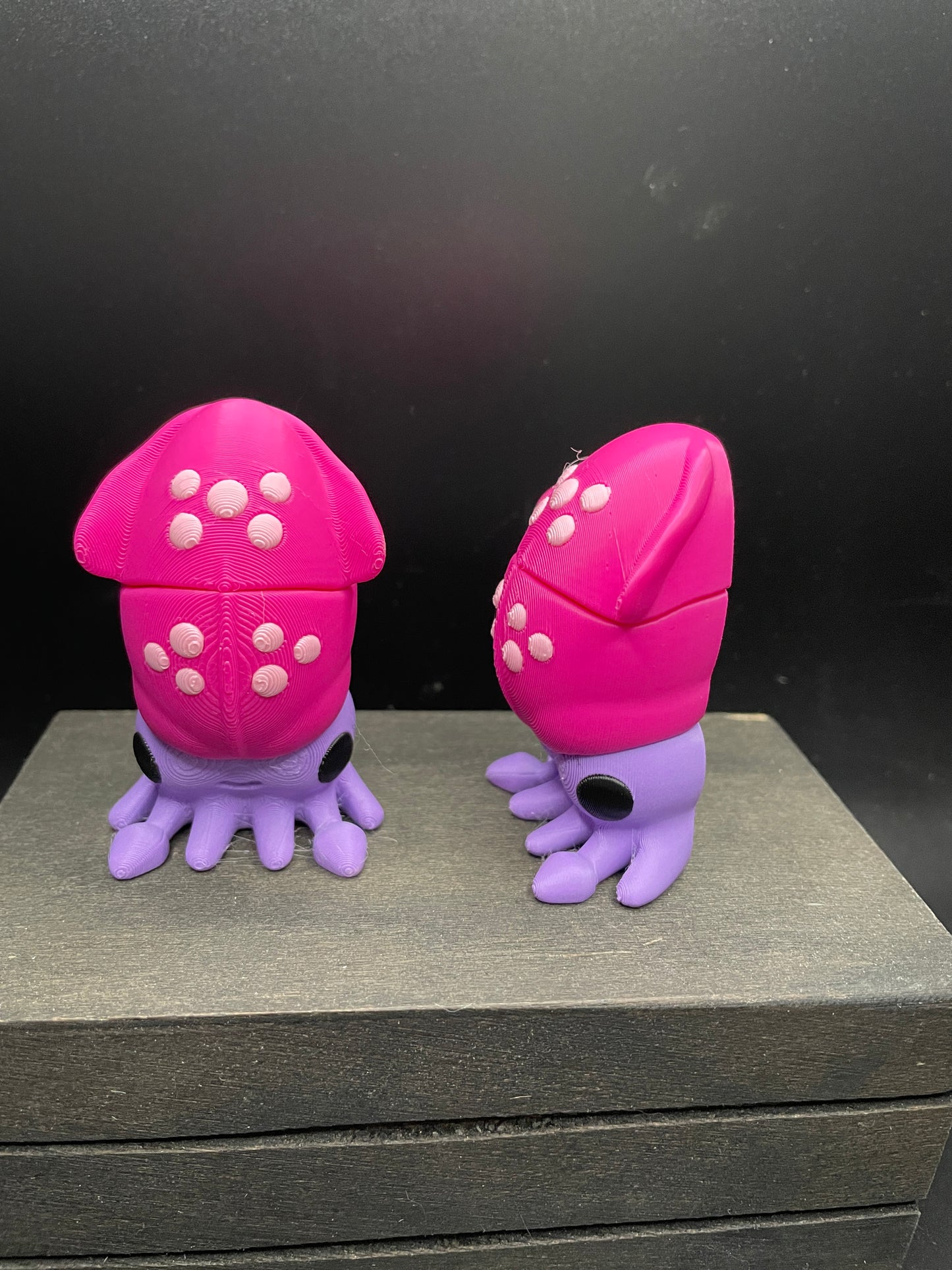 Squid