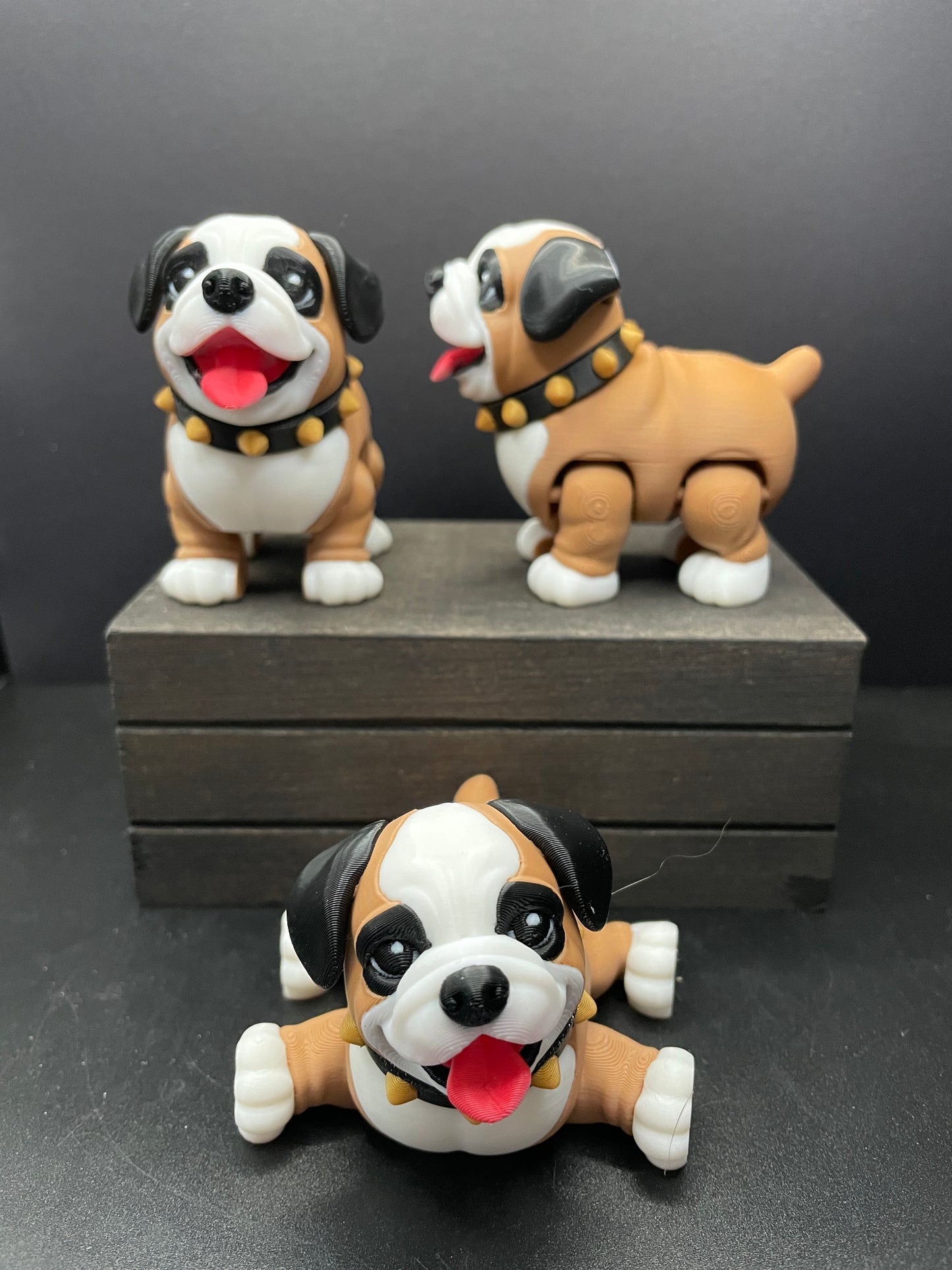 English Bulldog