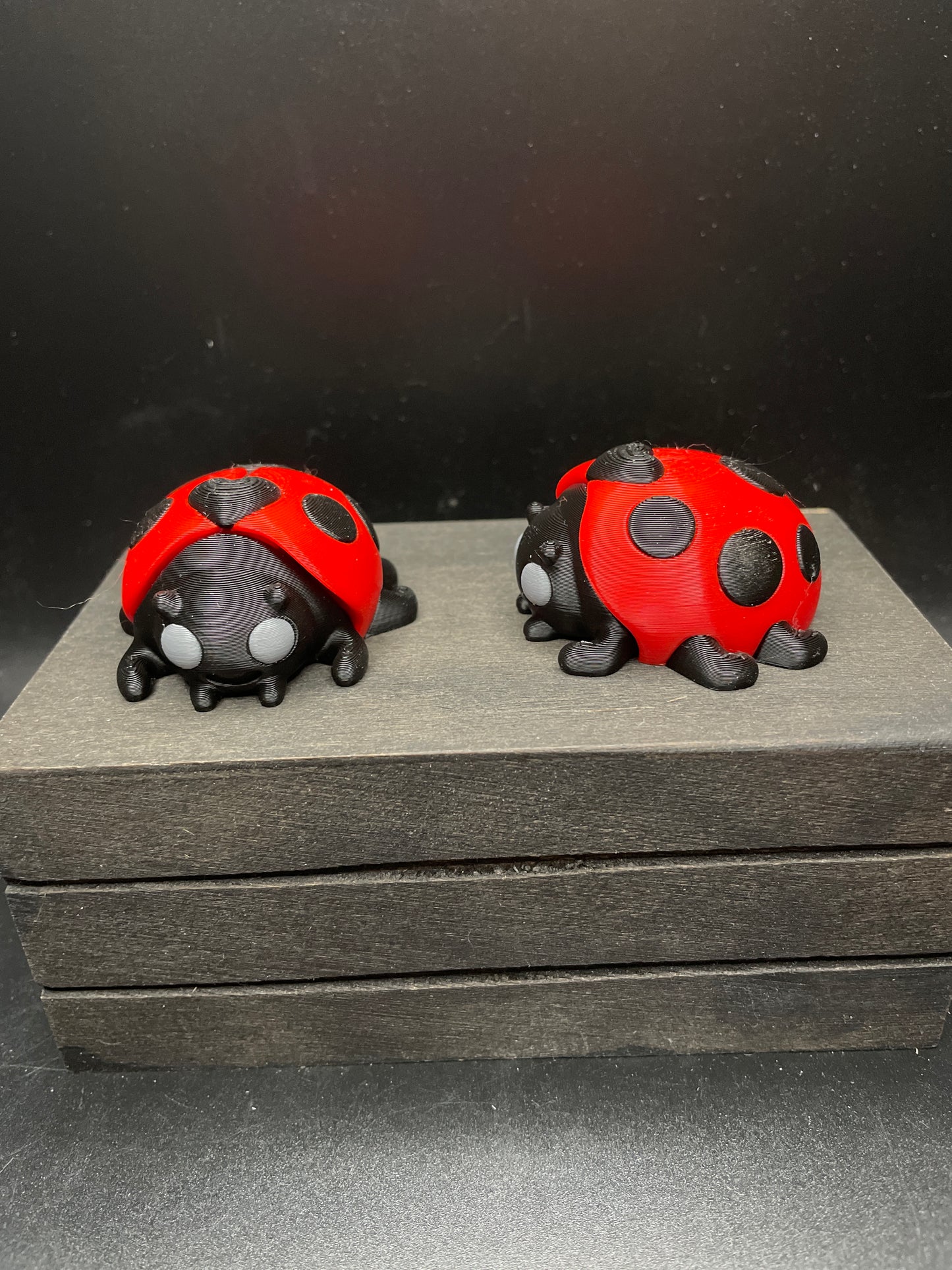 Ladybug
