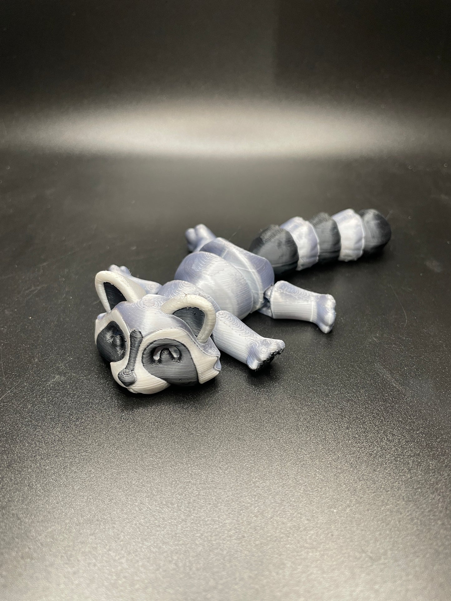 Raccoon