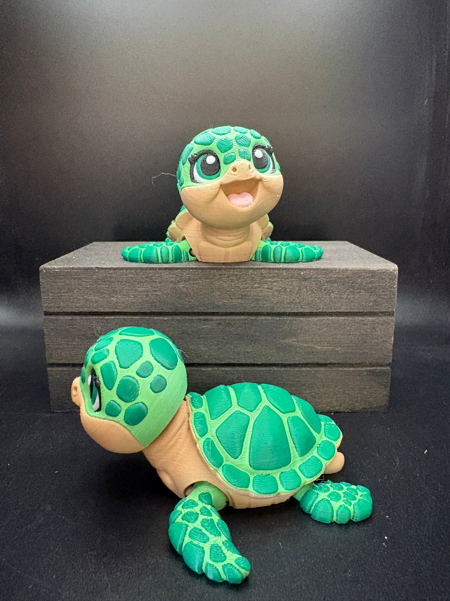 Sea Turtle