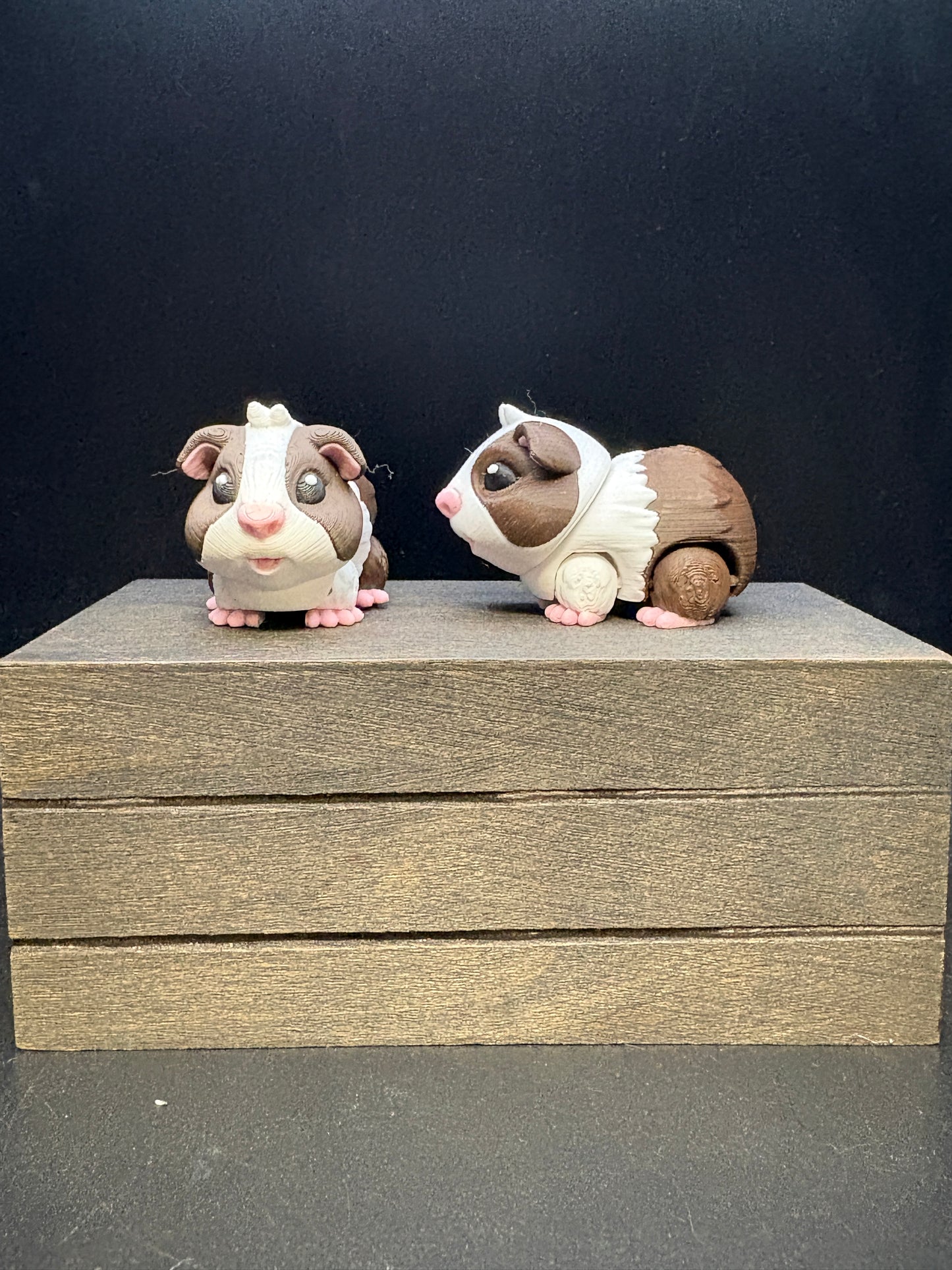 Guinea Pig