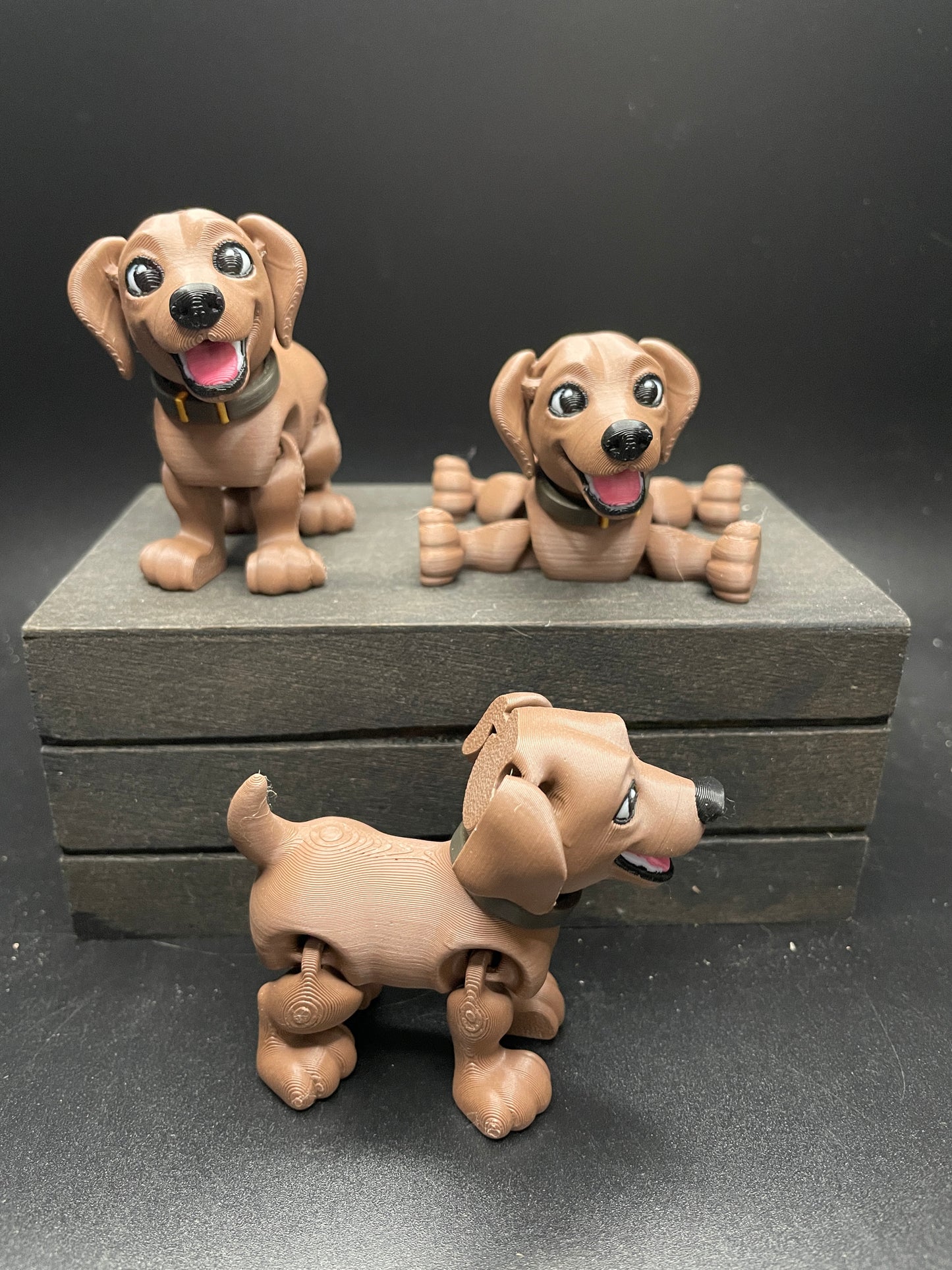 Labrador : Small