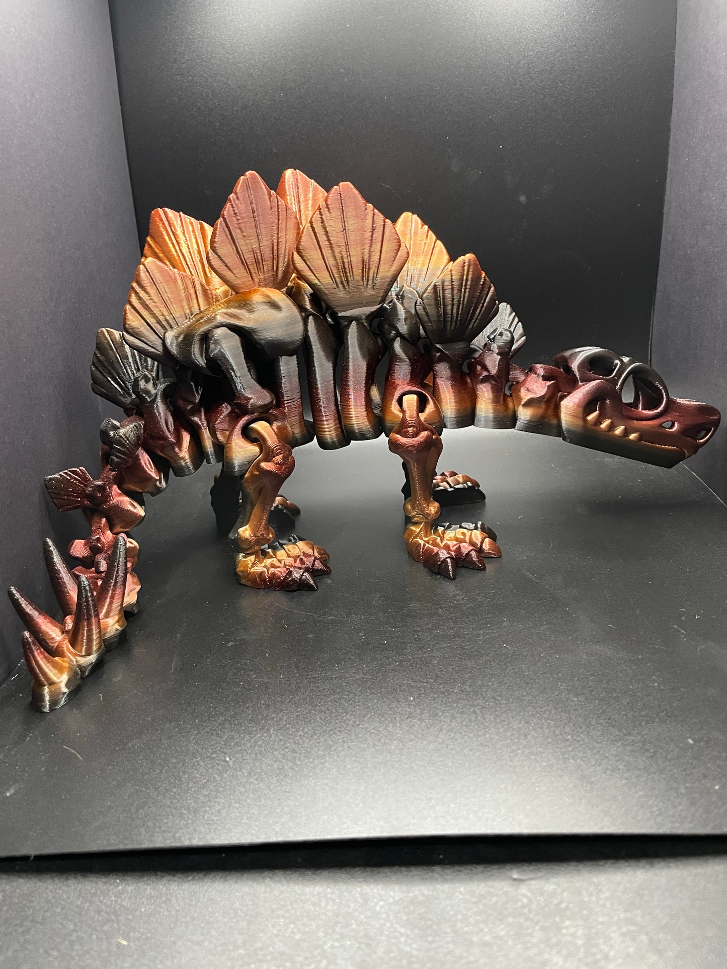 Skeleton Stegosaurus