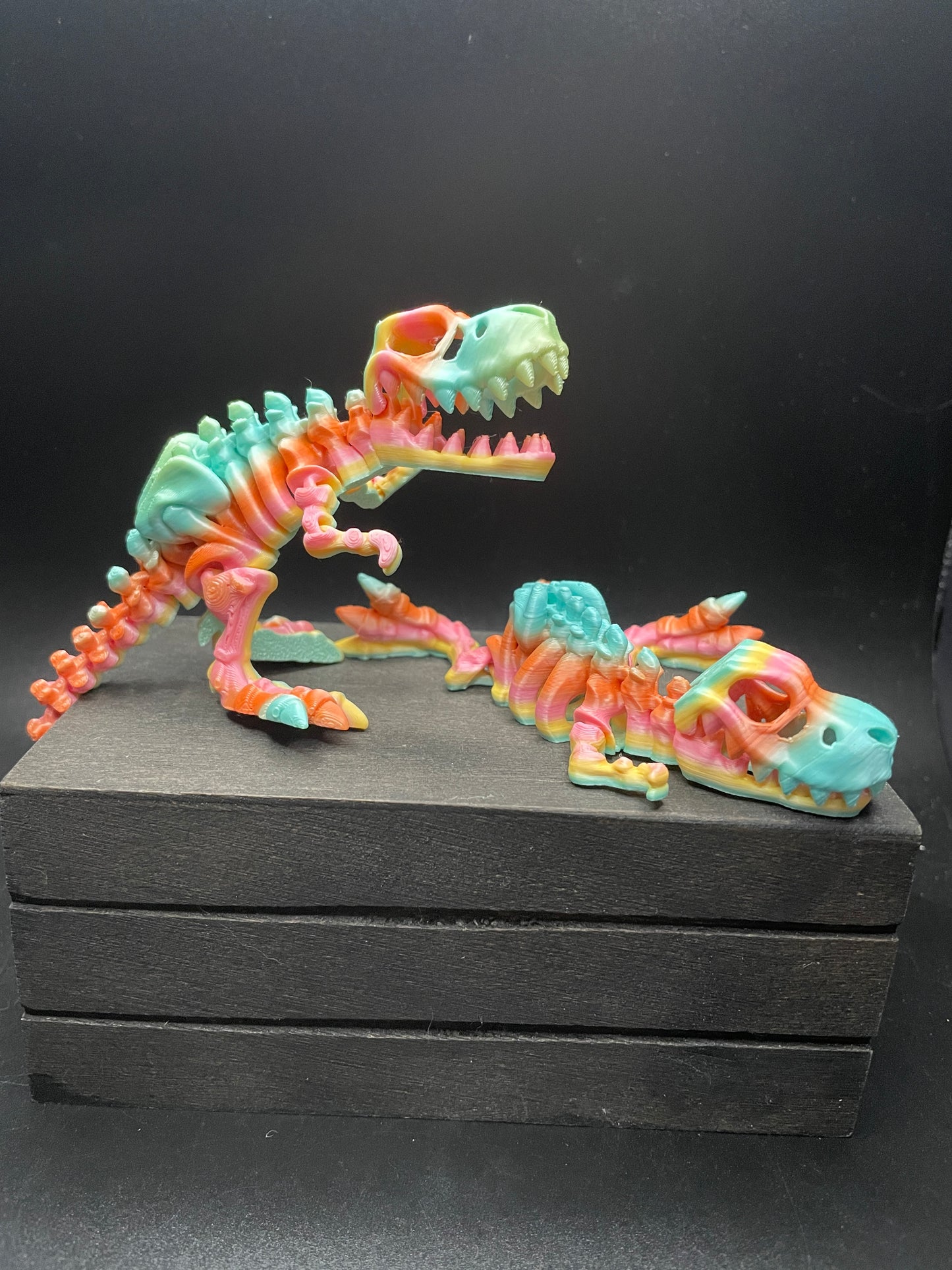 Skeleton T-Rex : Small