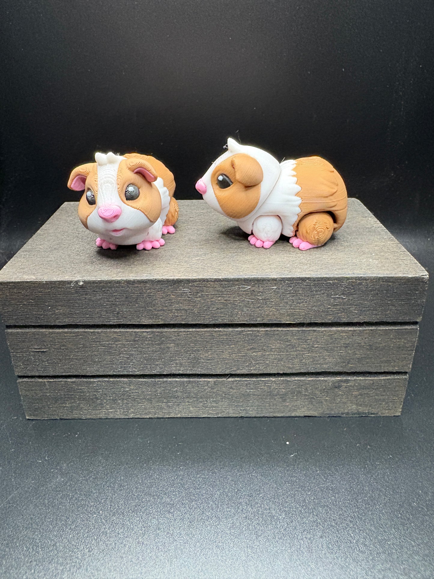 Guinea Pig