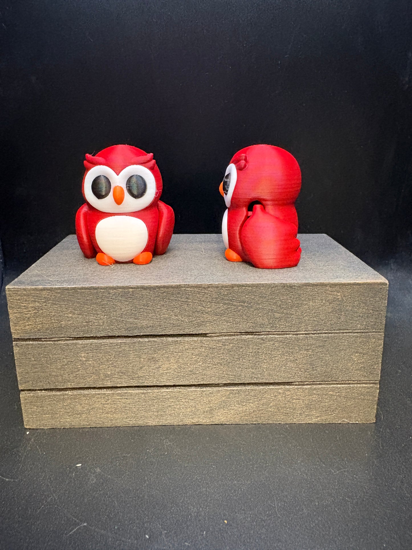 Owl